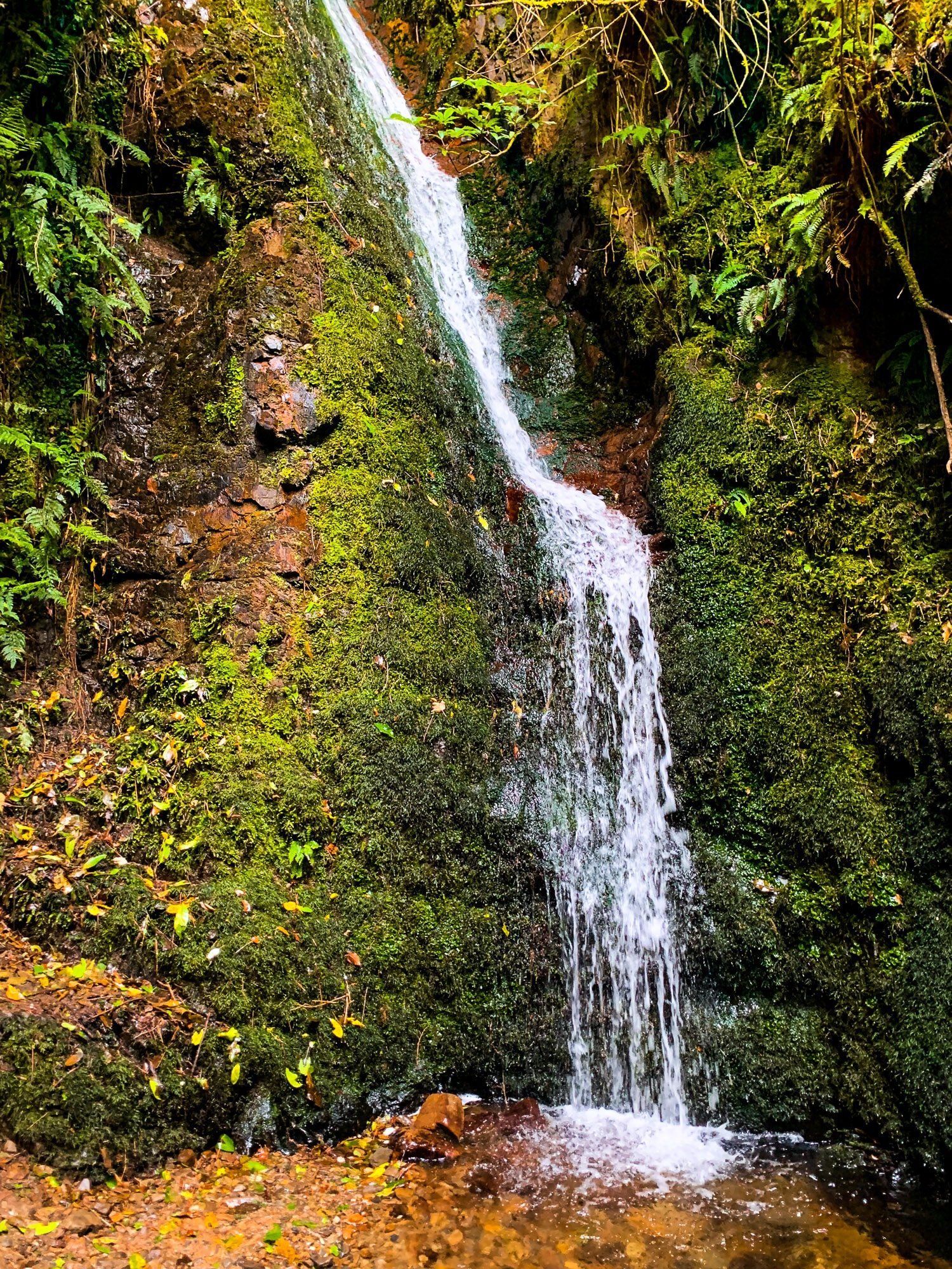 Image 4 of 6