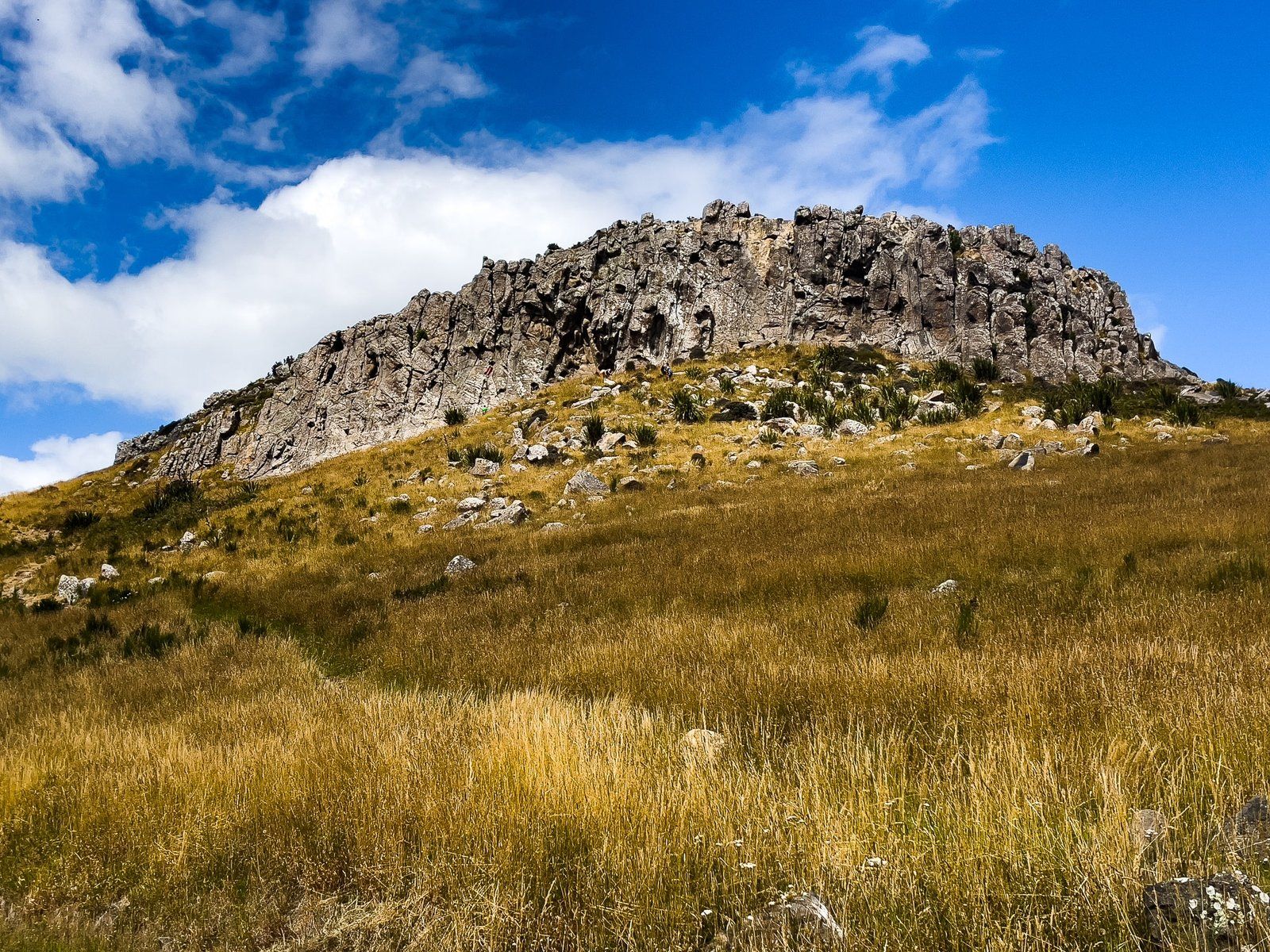 Image 11 of 12