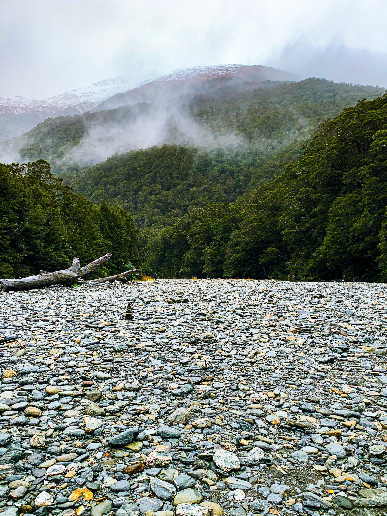 Image 7 of 10