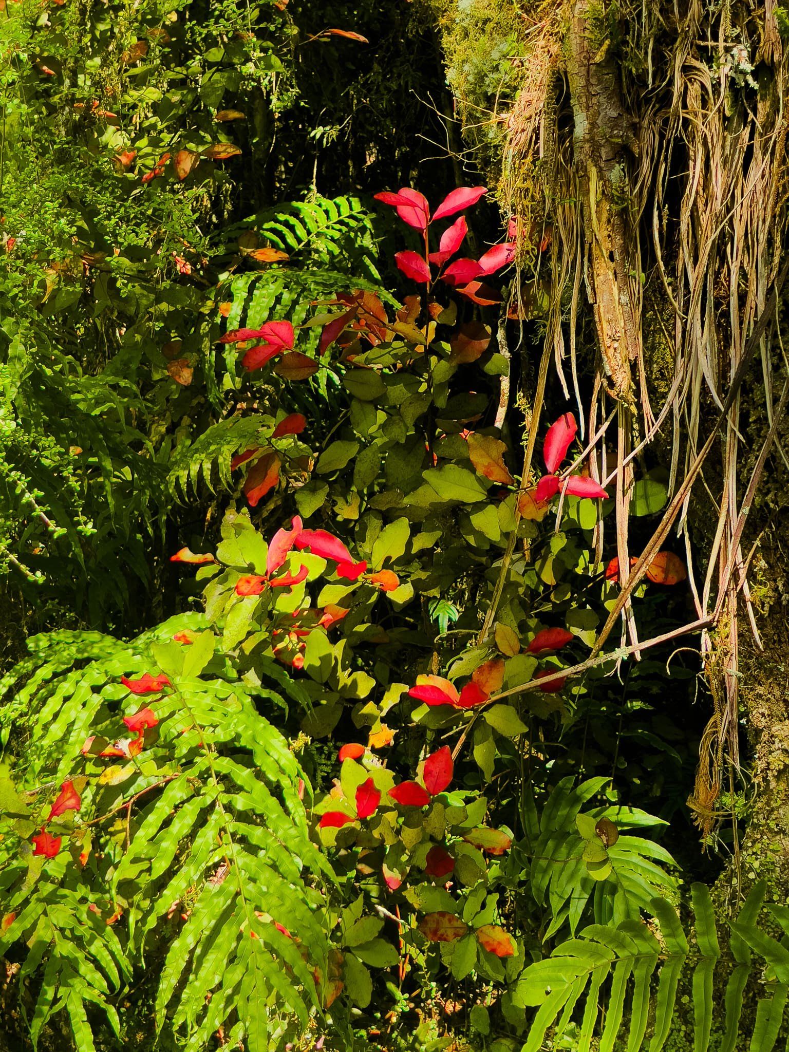 Image 10 of 12