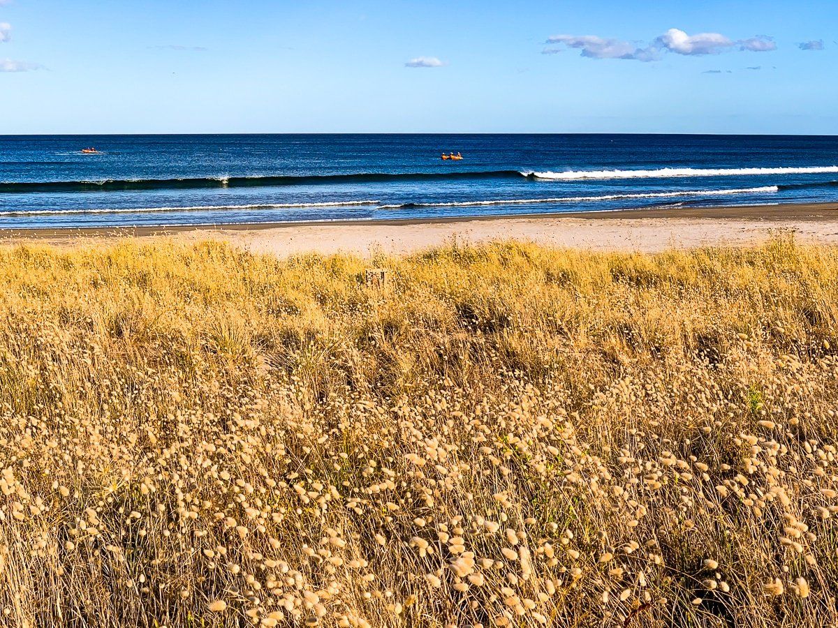 Waihi Beach