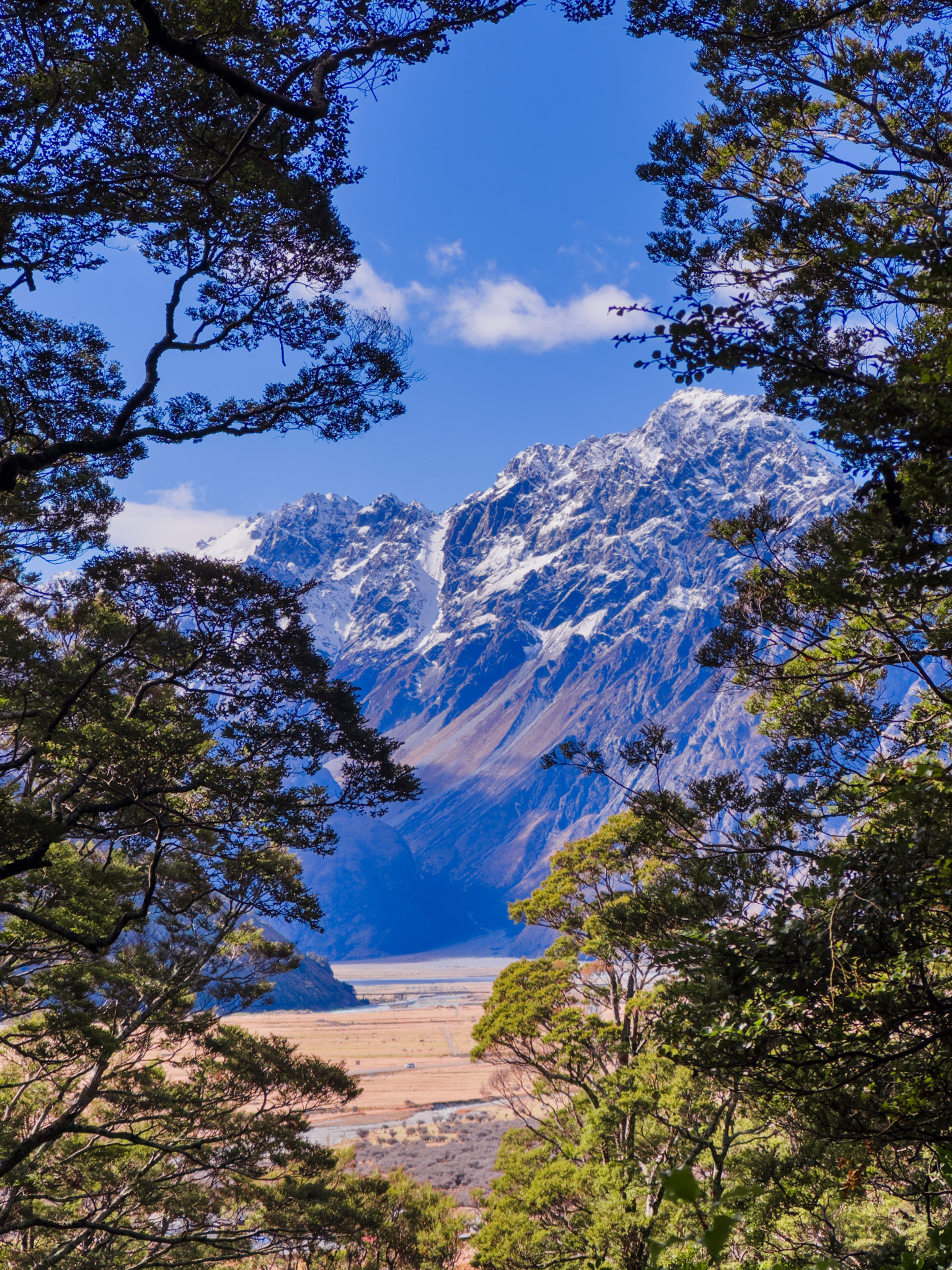 Image 7 of 10