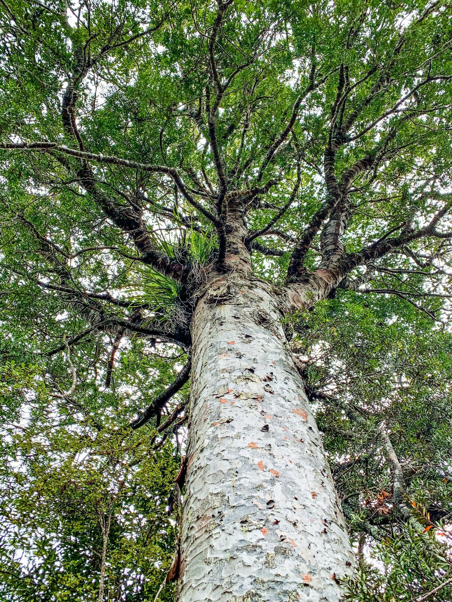 Image 12 of 12