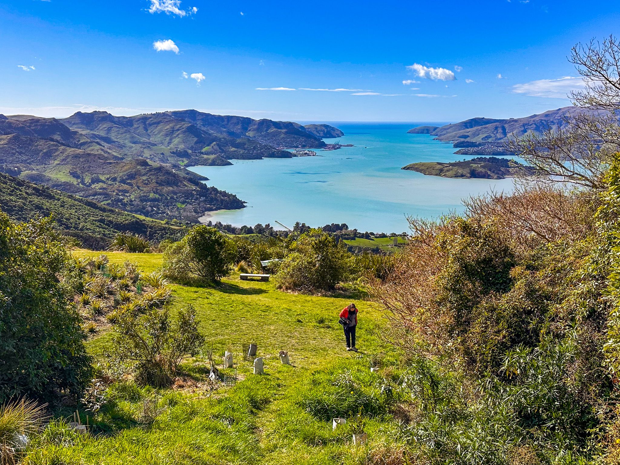 John Jameson Lookout