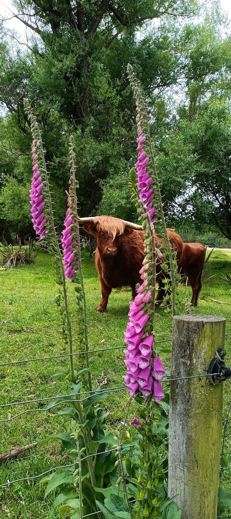 Farmyard Holiday Park