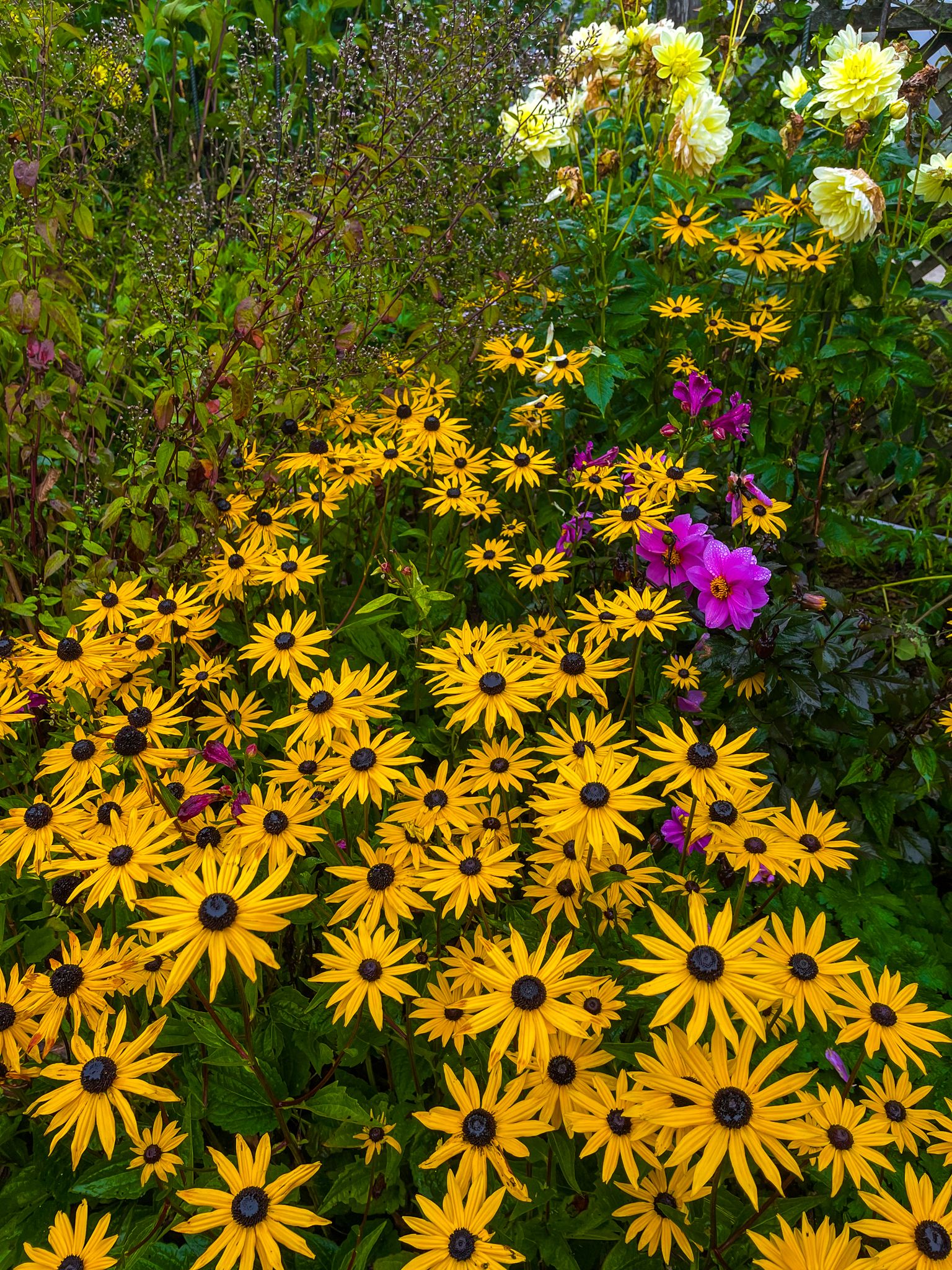 Image 7 of 10