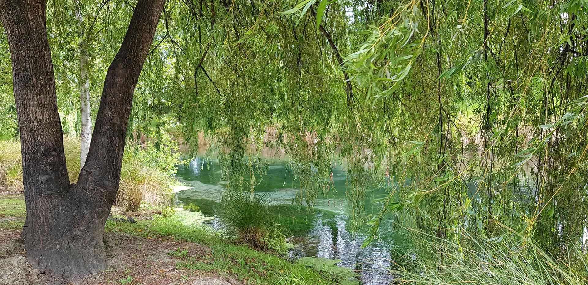 Spring Creek Holiday Park