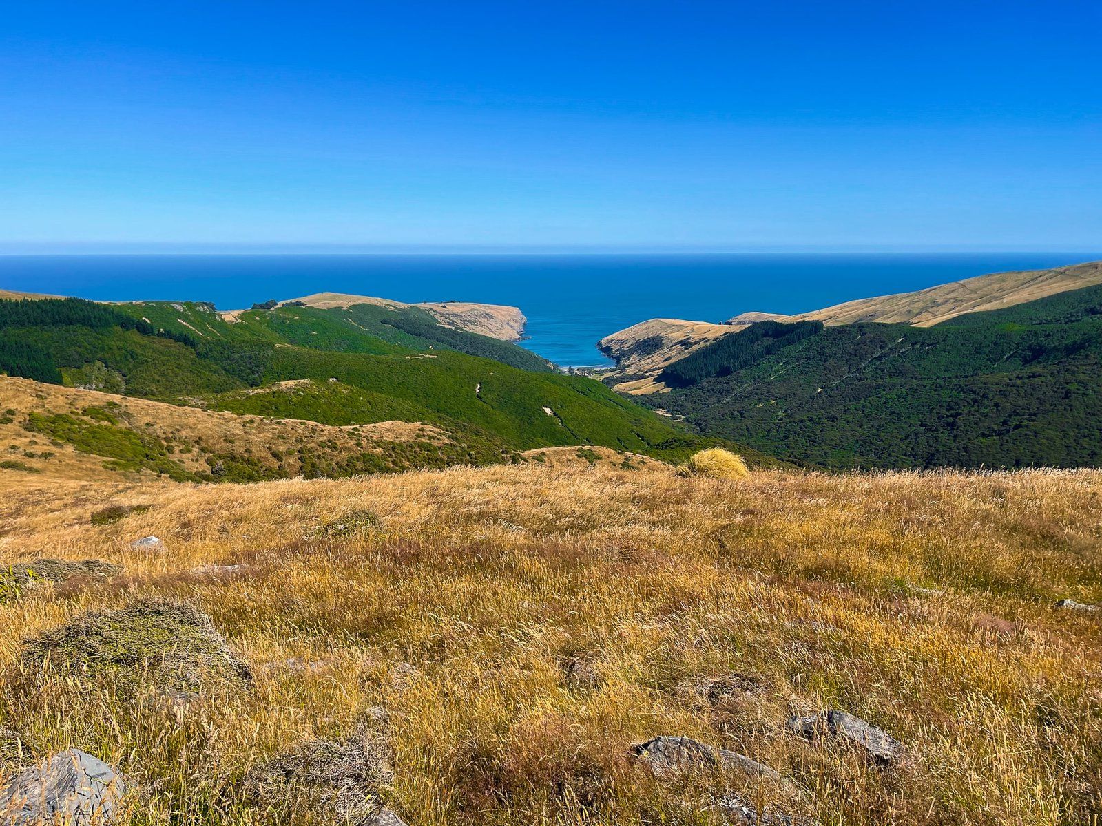Image 10 of 10