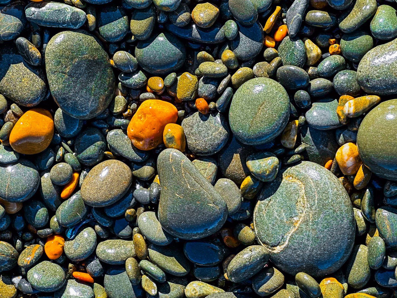 Image 5 of 10