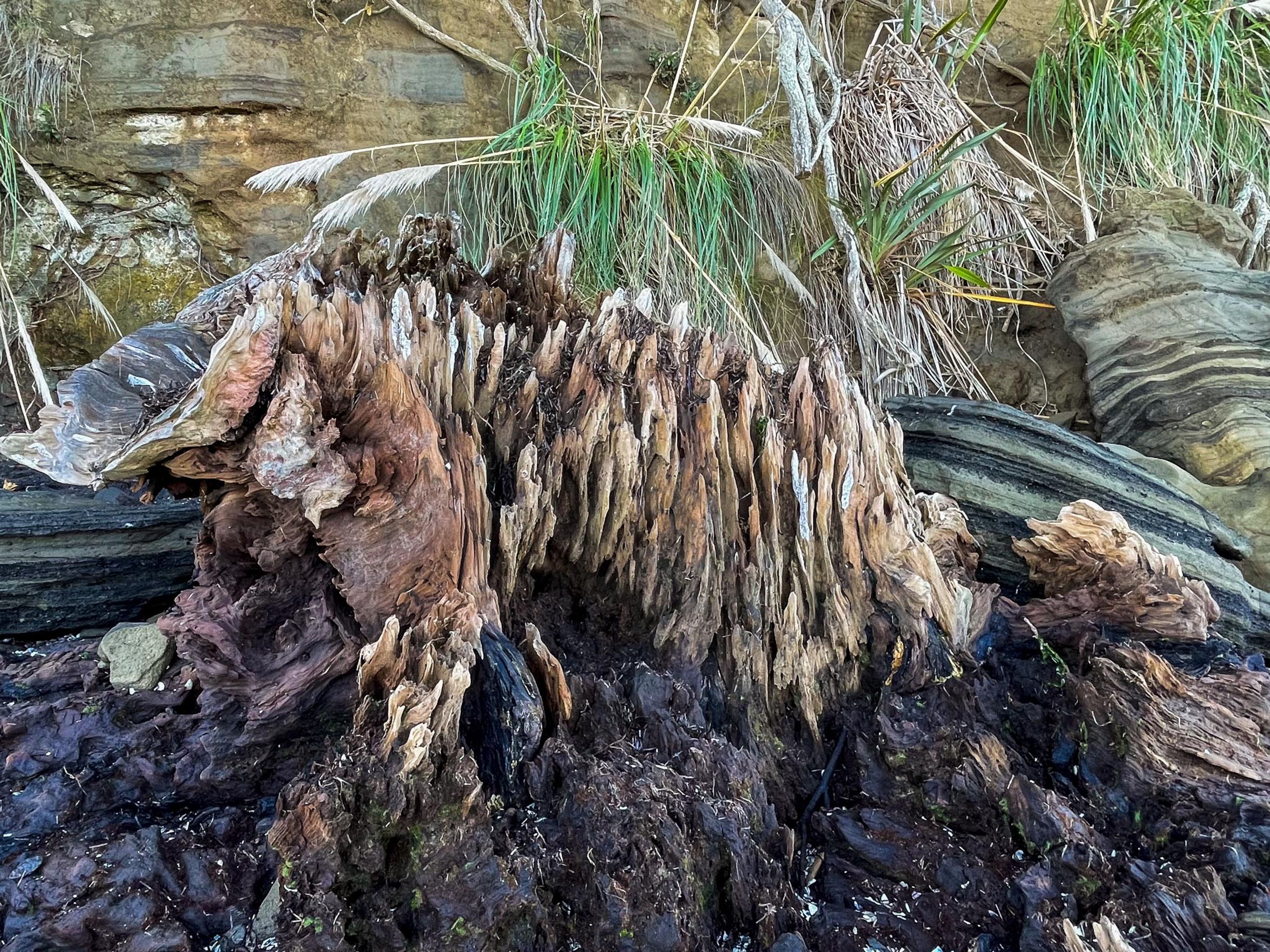 Image 9 of 10