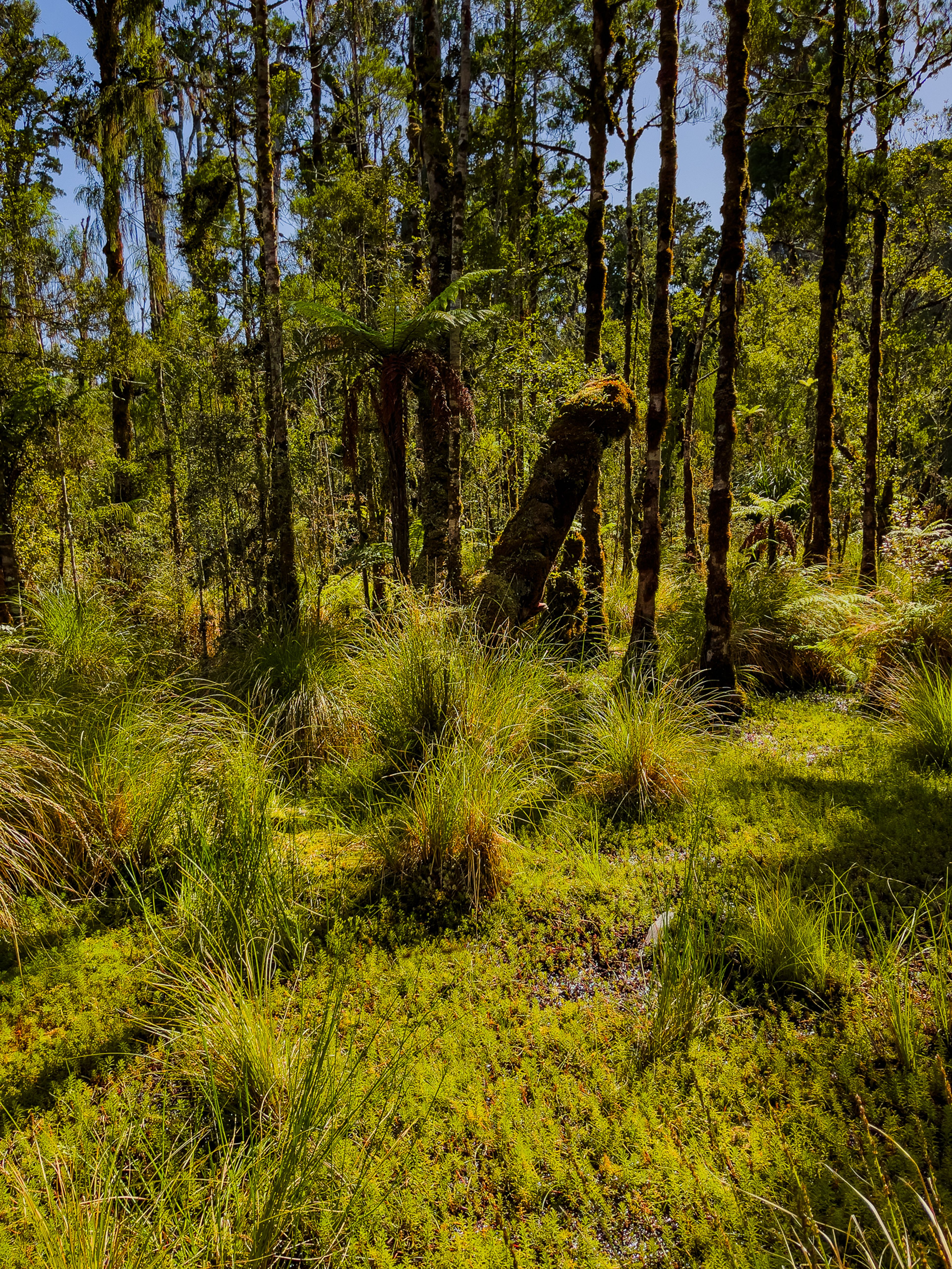 Image 7 of 10