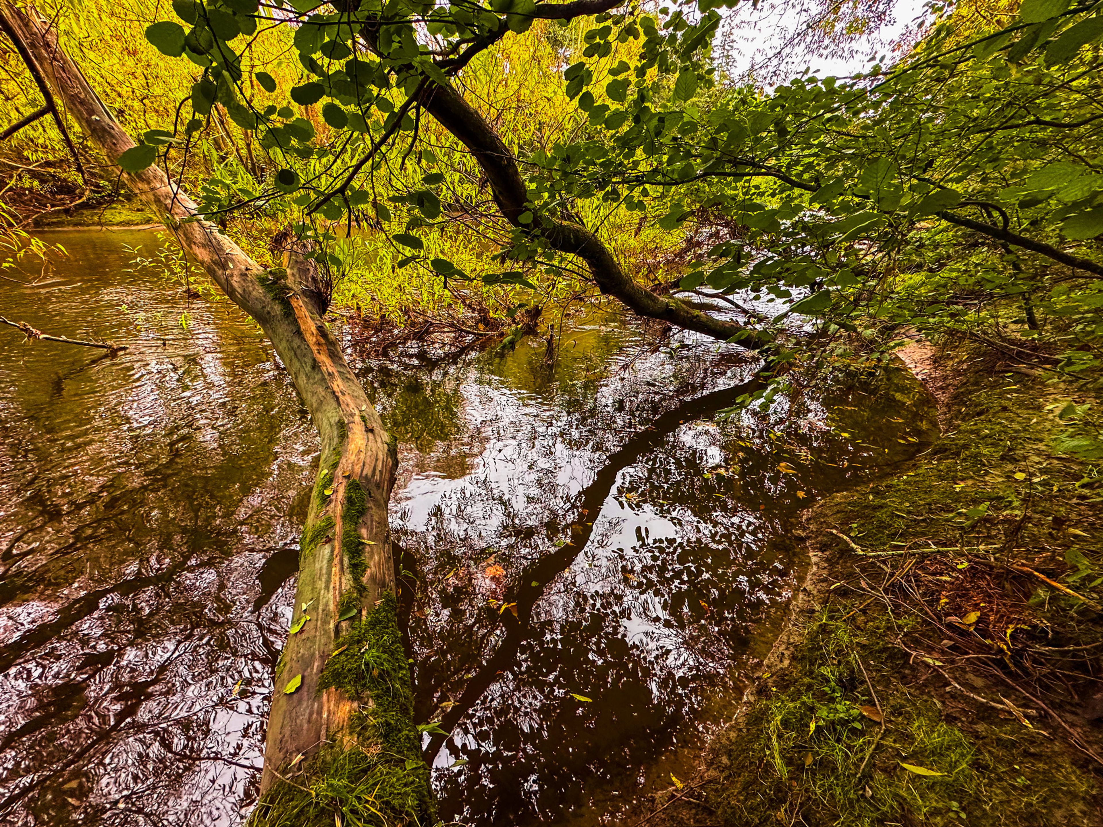 Image 8 of 10