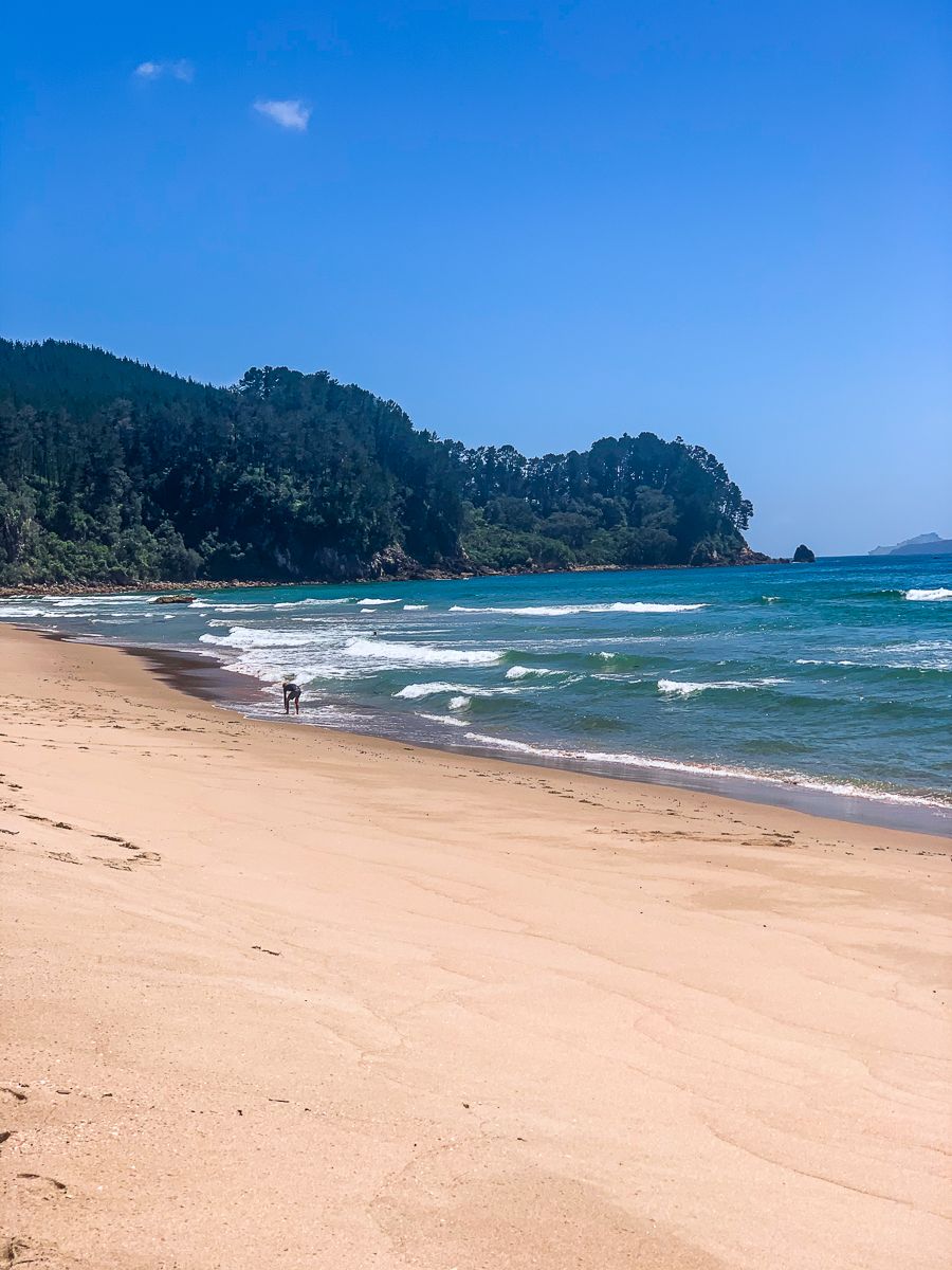 Image 6 of 10
