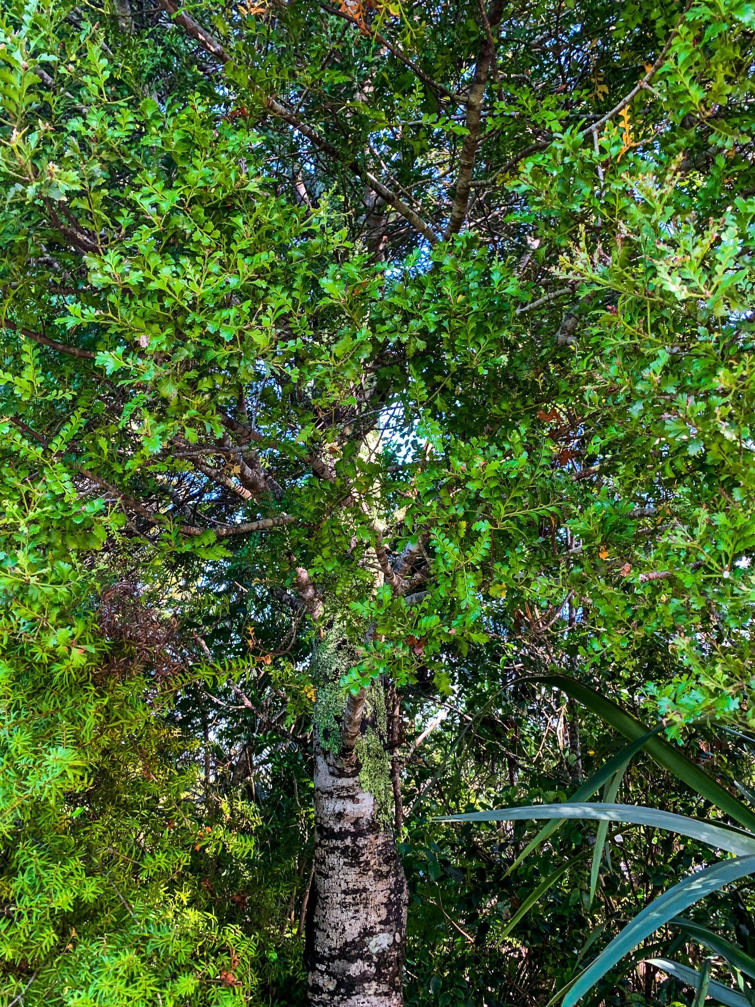 Image 10 of 11