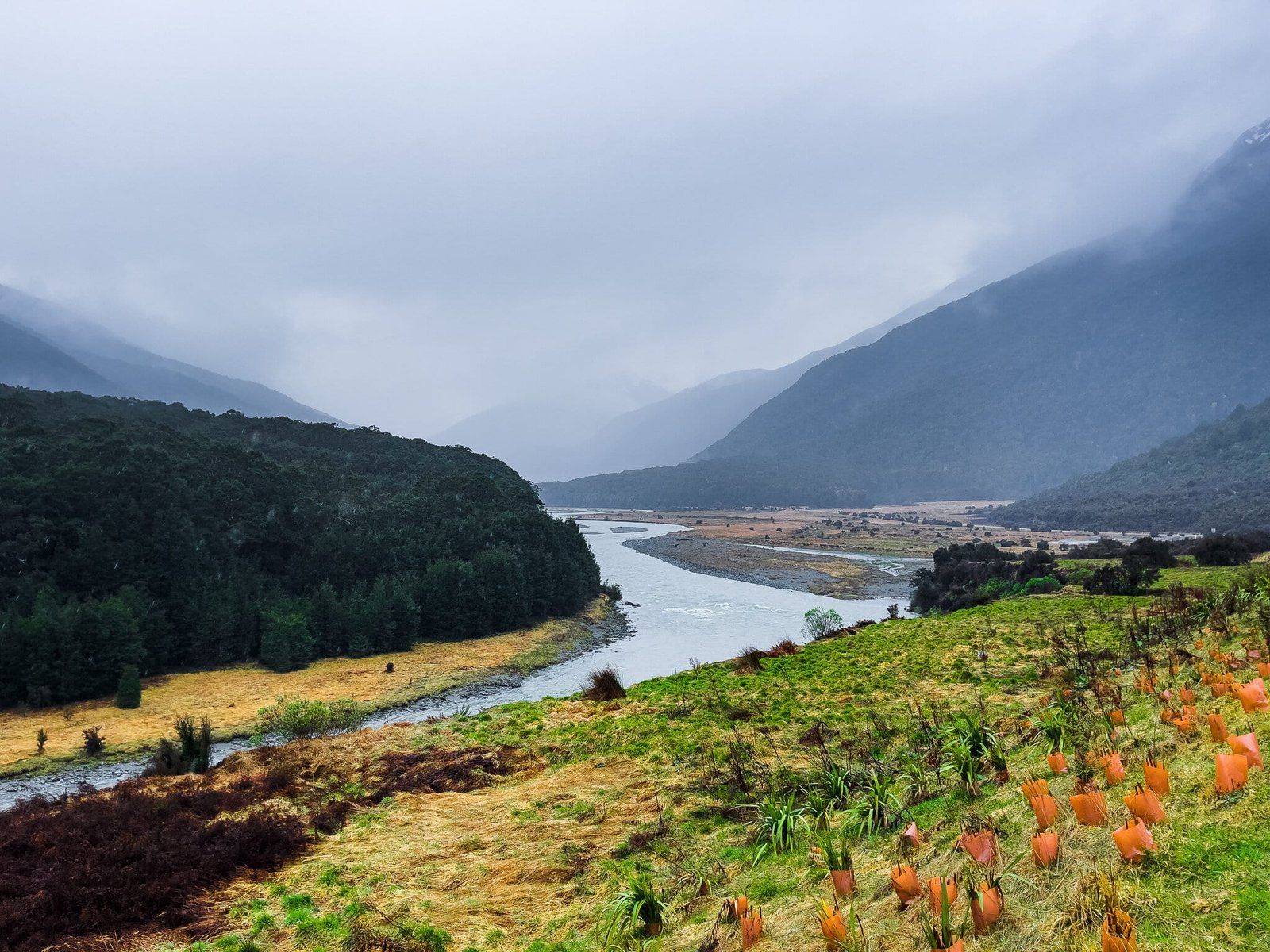 The Haast Highway, from Isthmus to Haast Pass