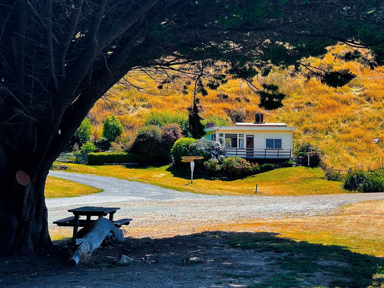 Image 9 of 11