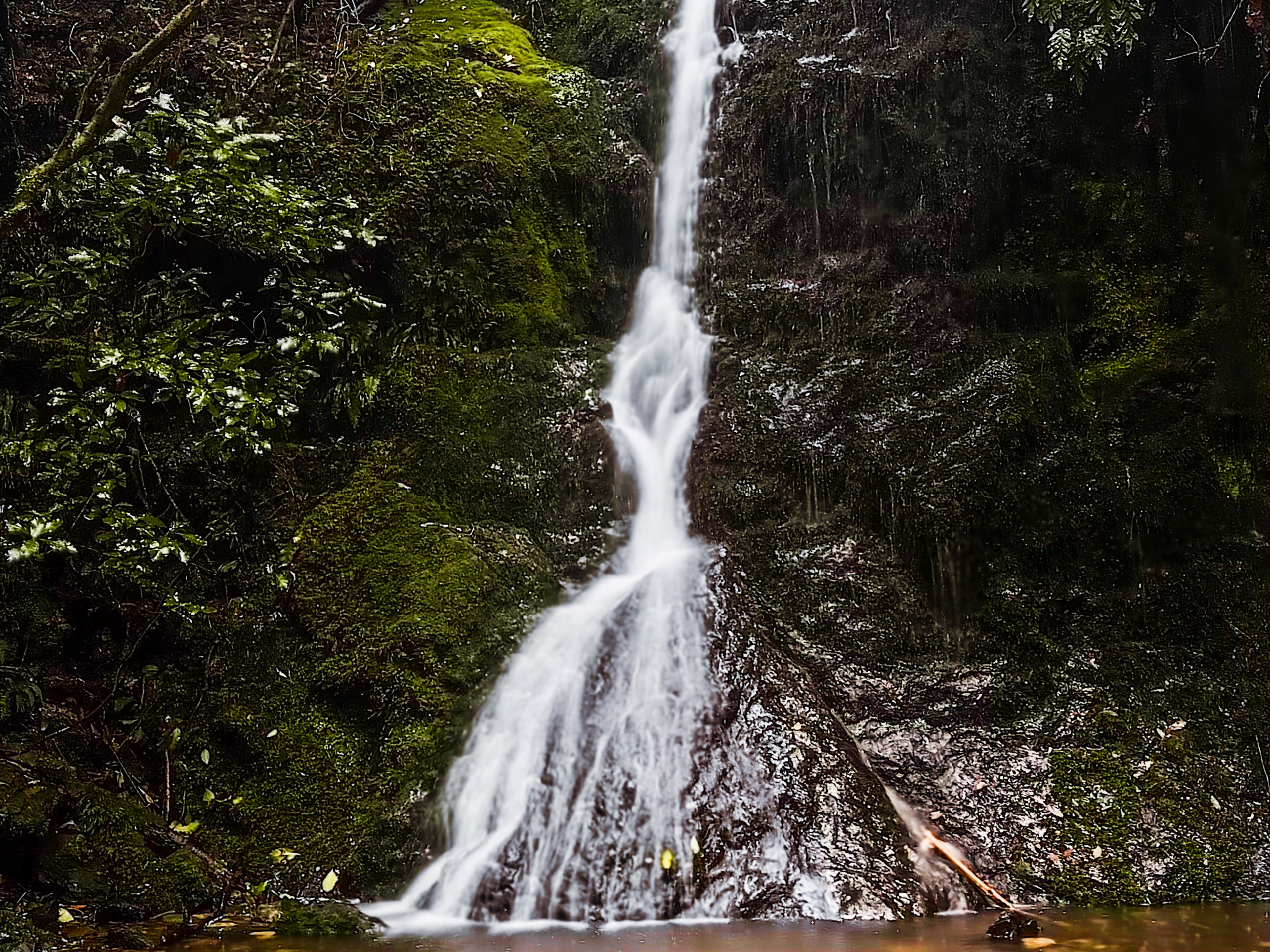 Image 4 of 10