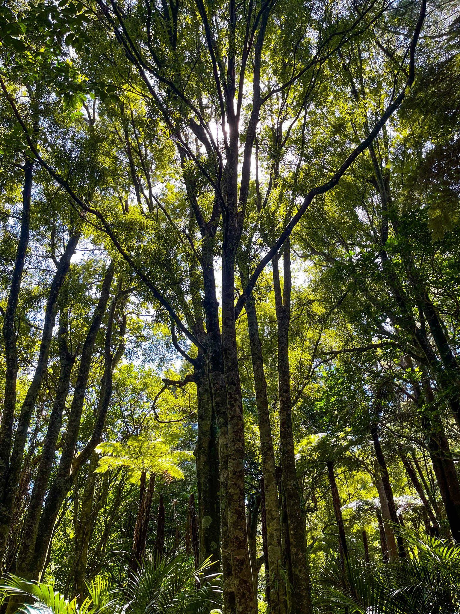 Image 4 of 10