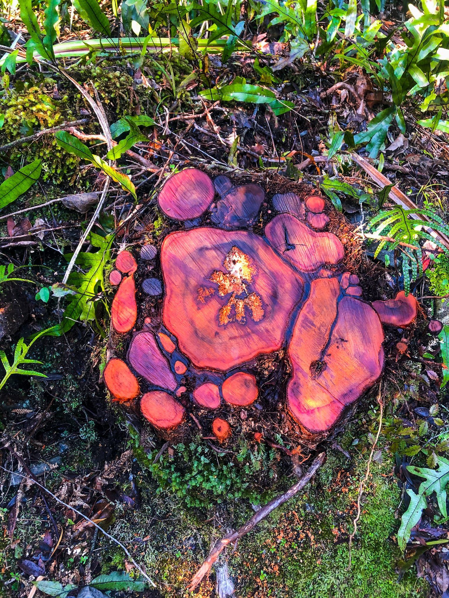 Image 1 of 6