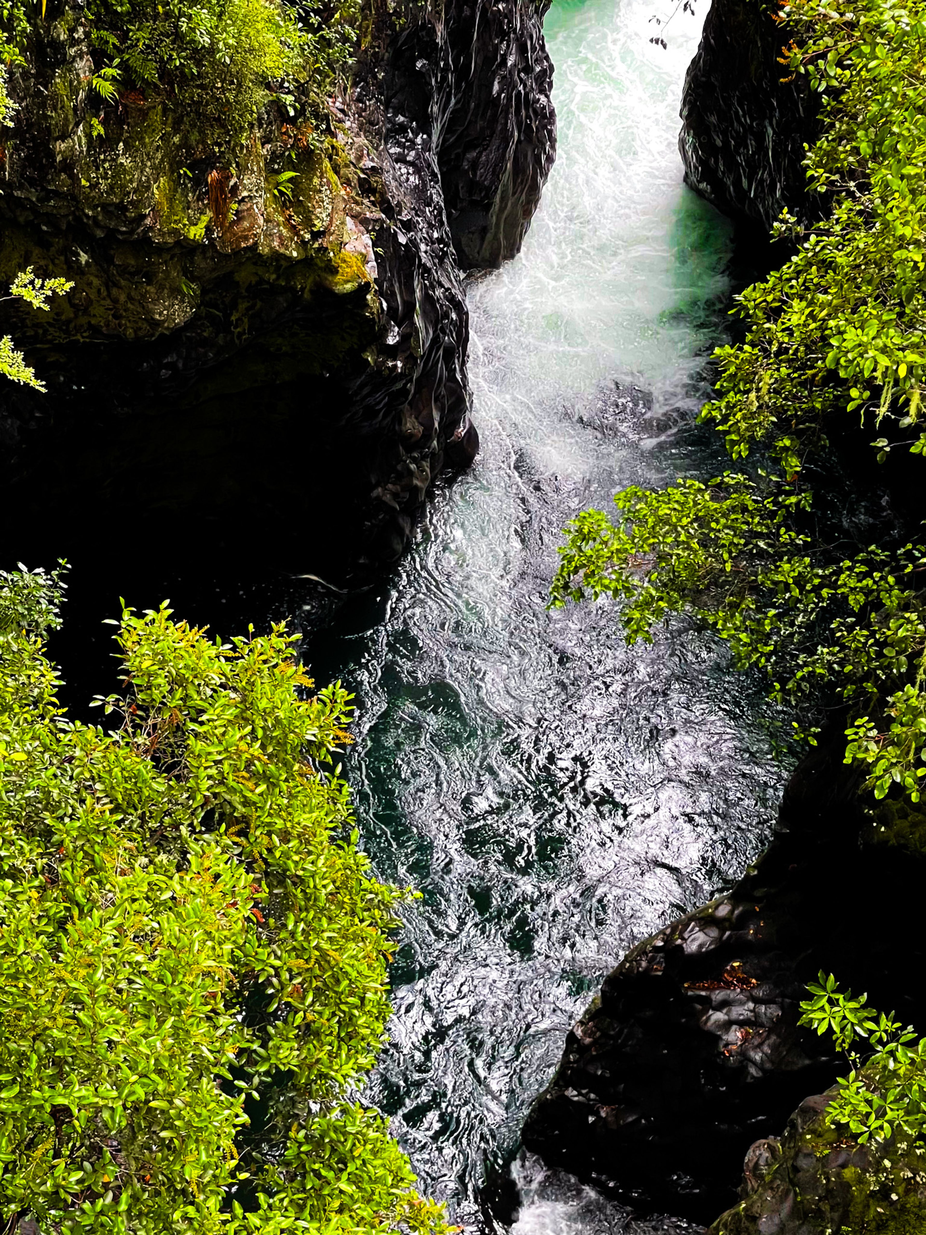 Image 8 of 10