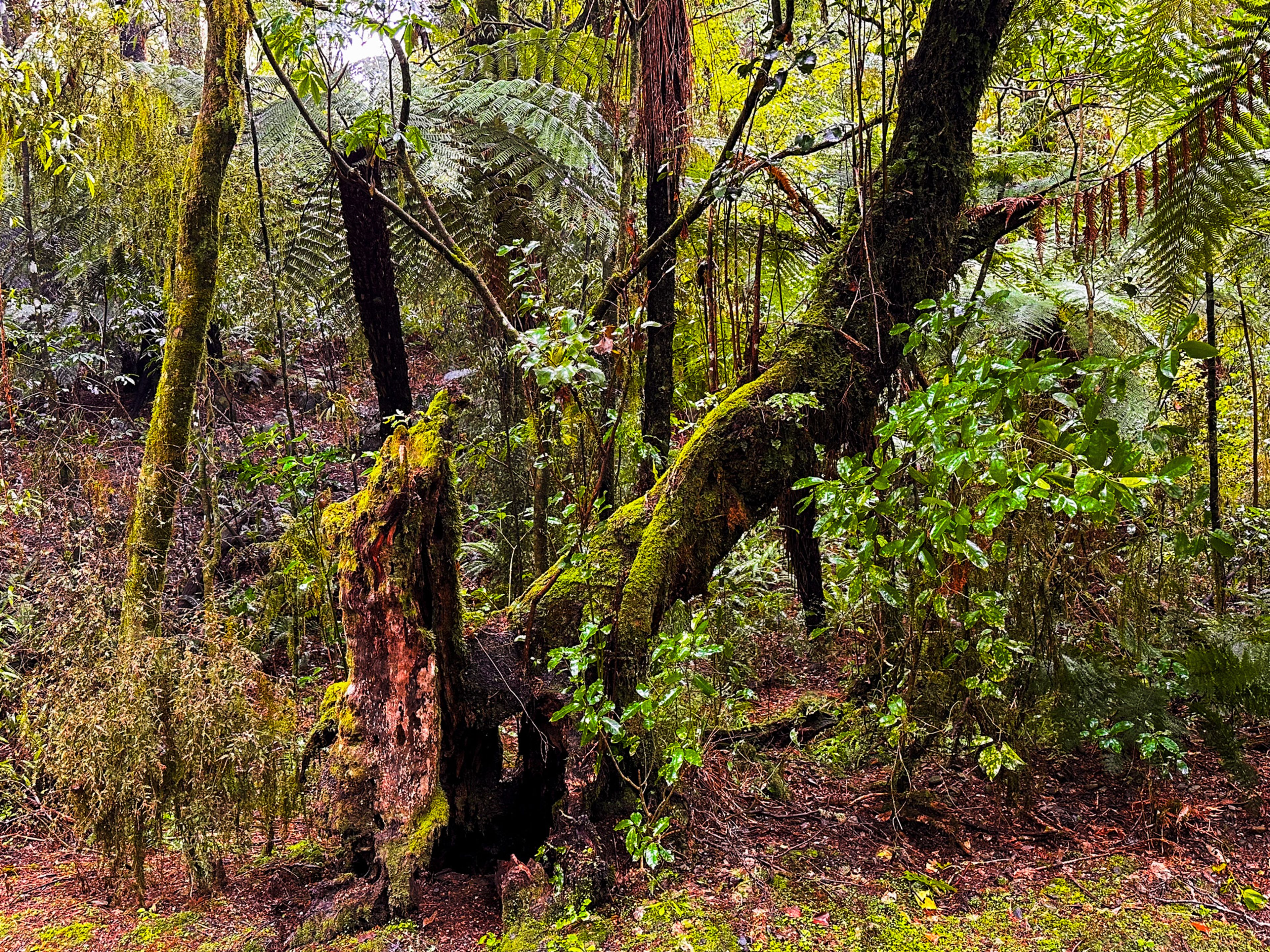 Image 9 of 10