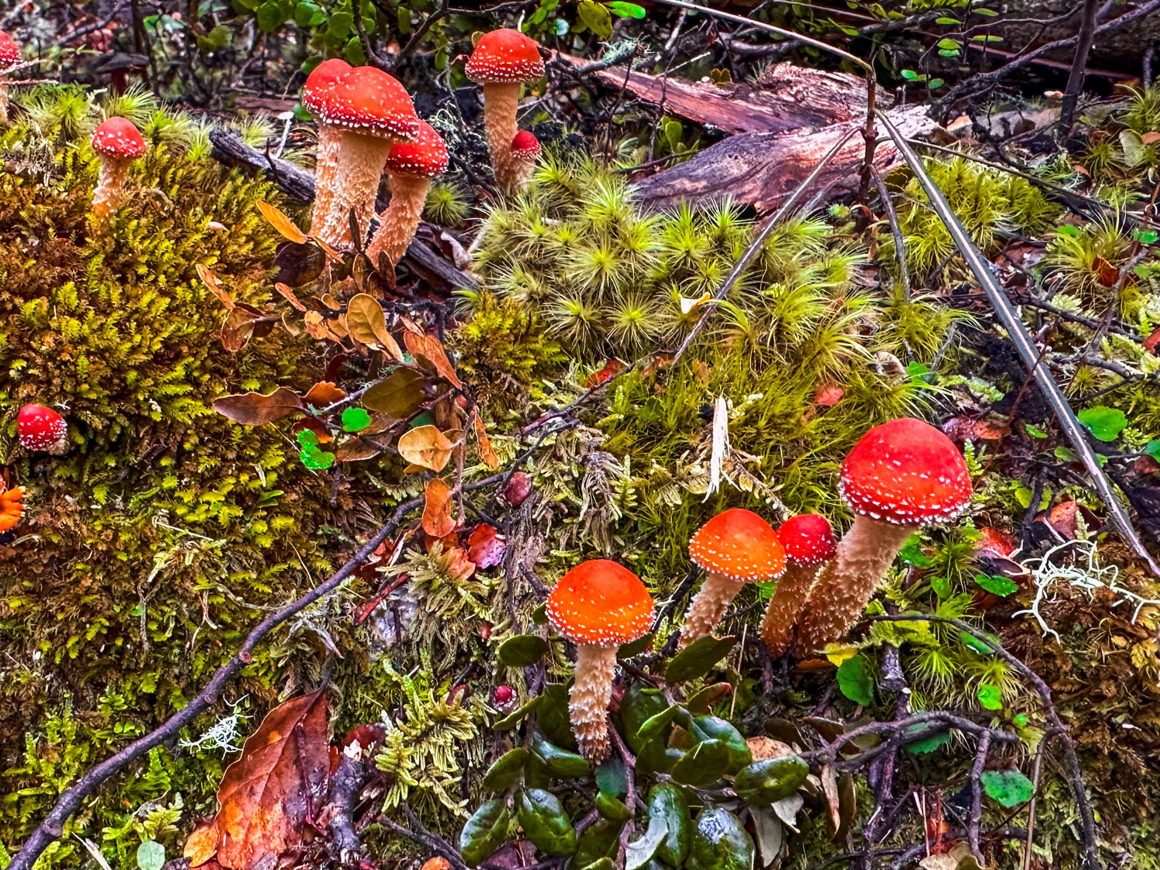 Image 3 of 10