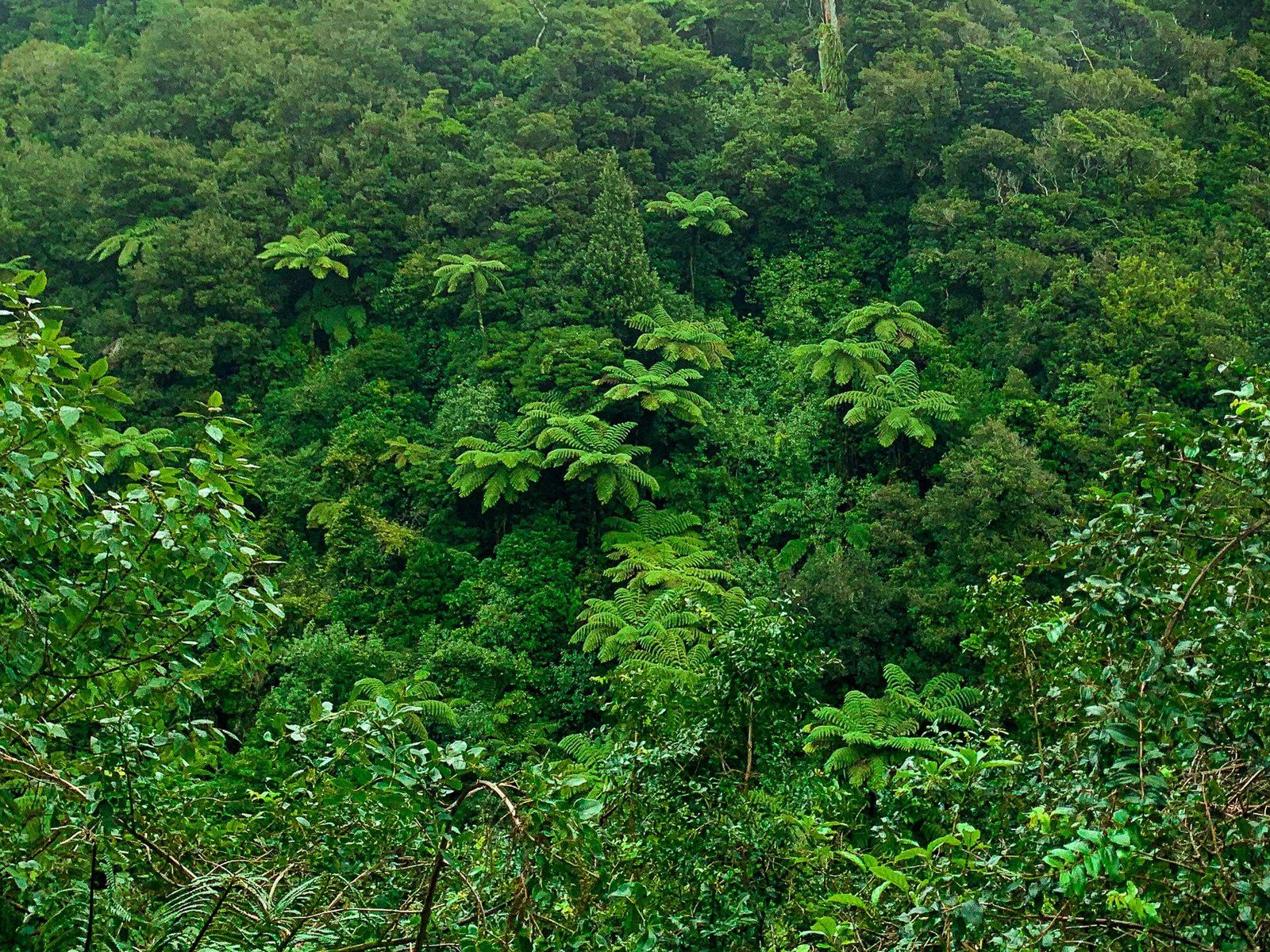 Image 11 of 12