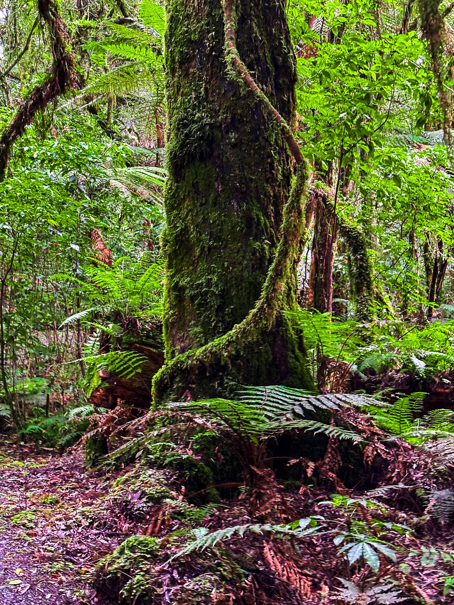 Image 7 of 9