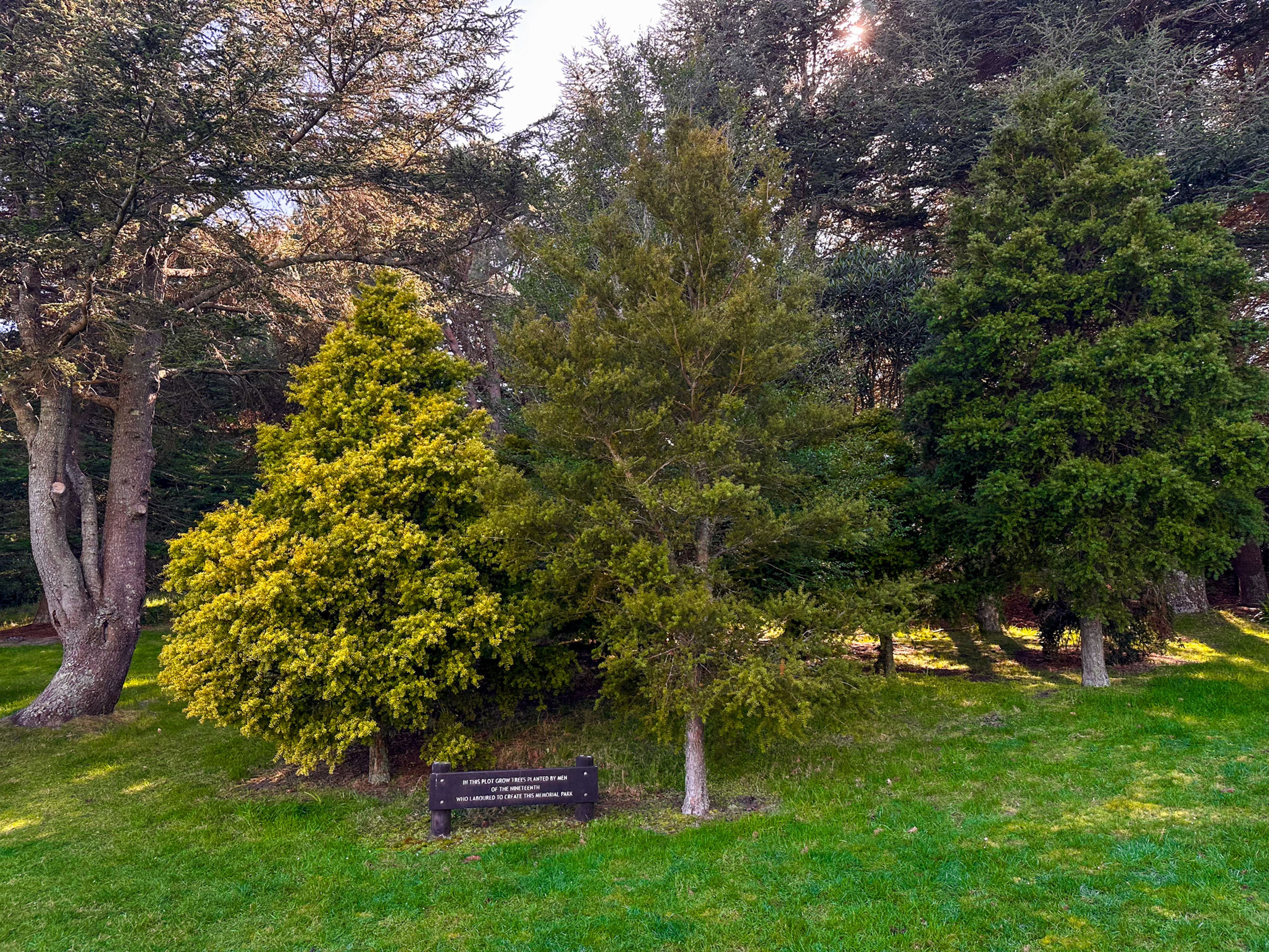 Image 10 of 10