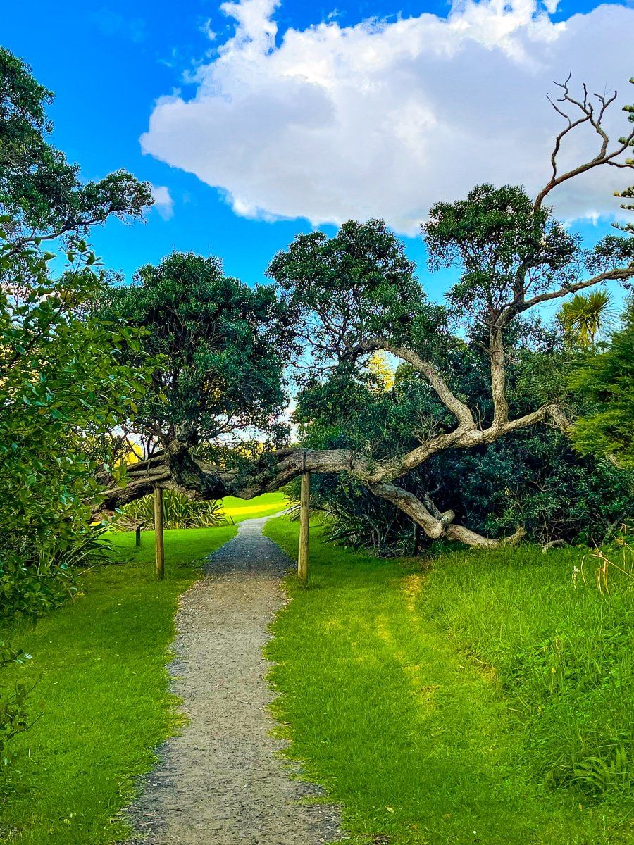Image 7 of 11