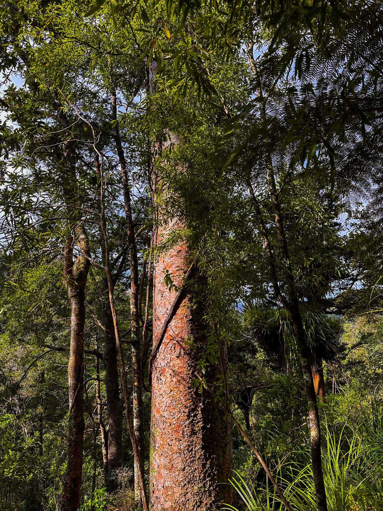Image 9 of 10
