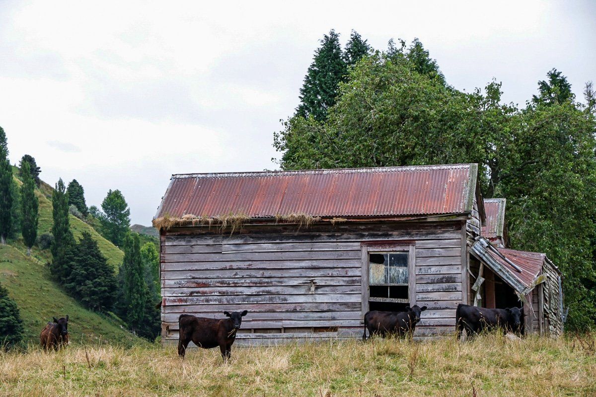 Image 2 of 6