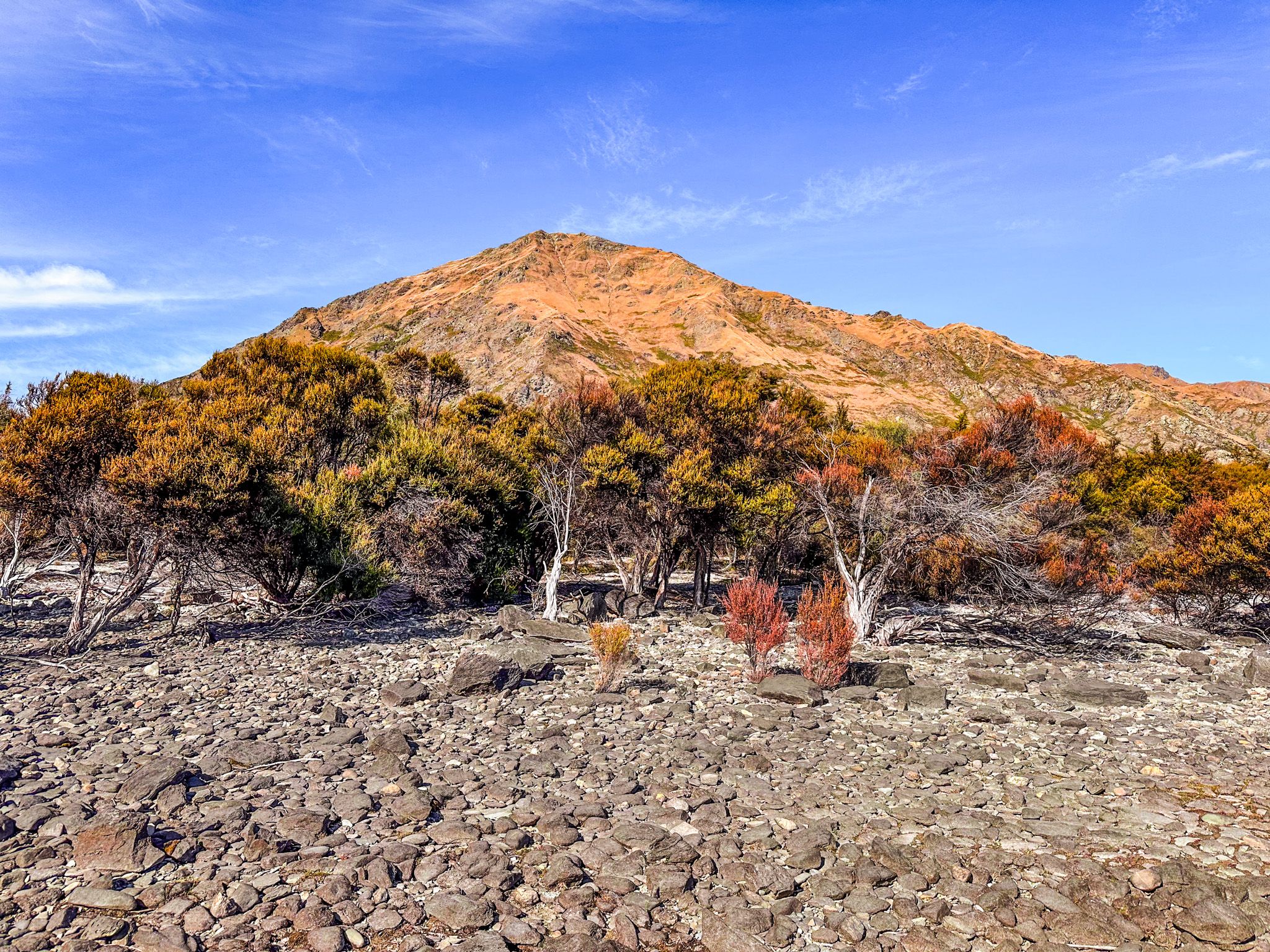 Image 7 of 10