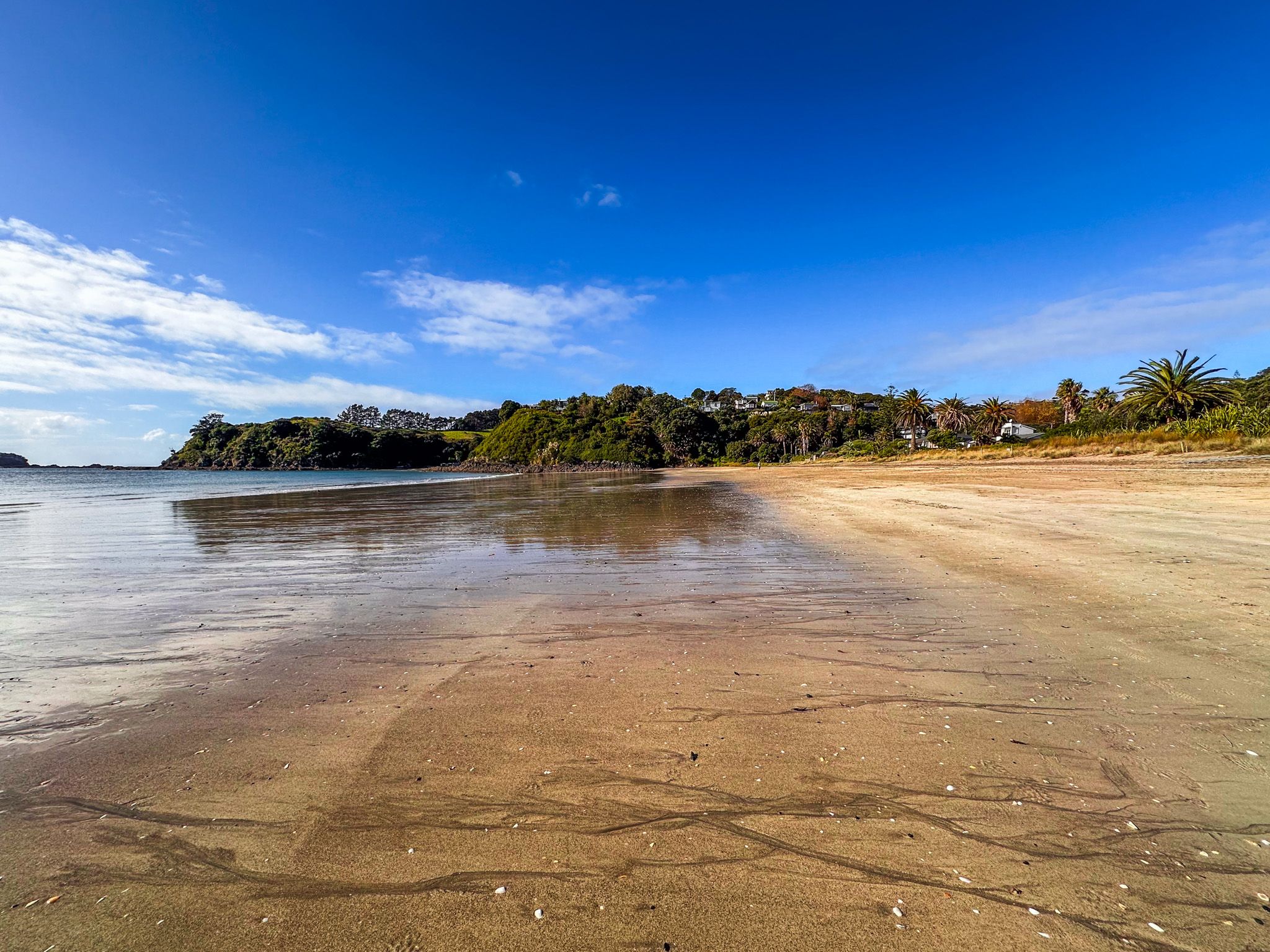 Image 8 of 10