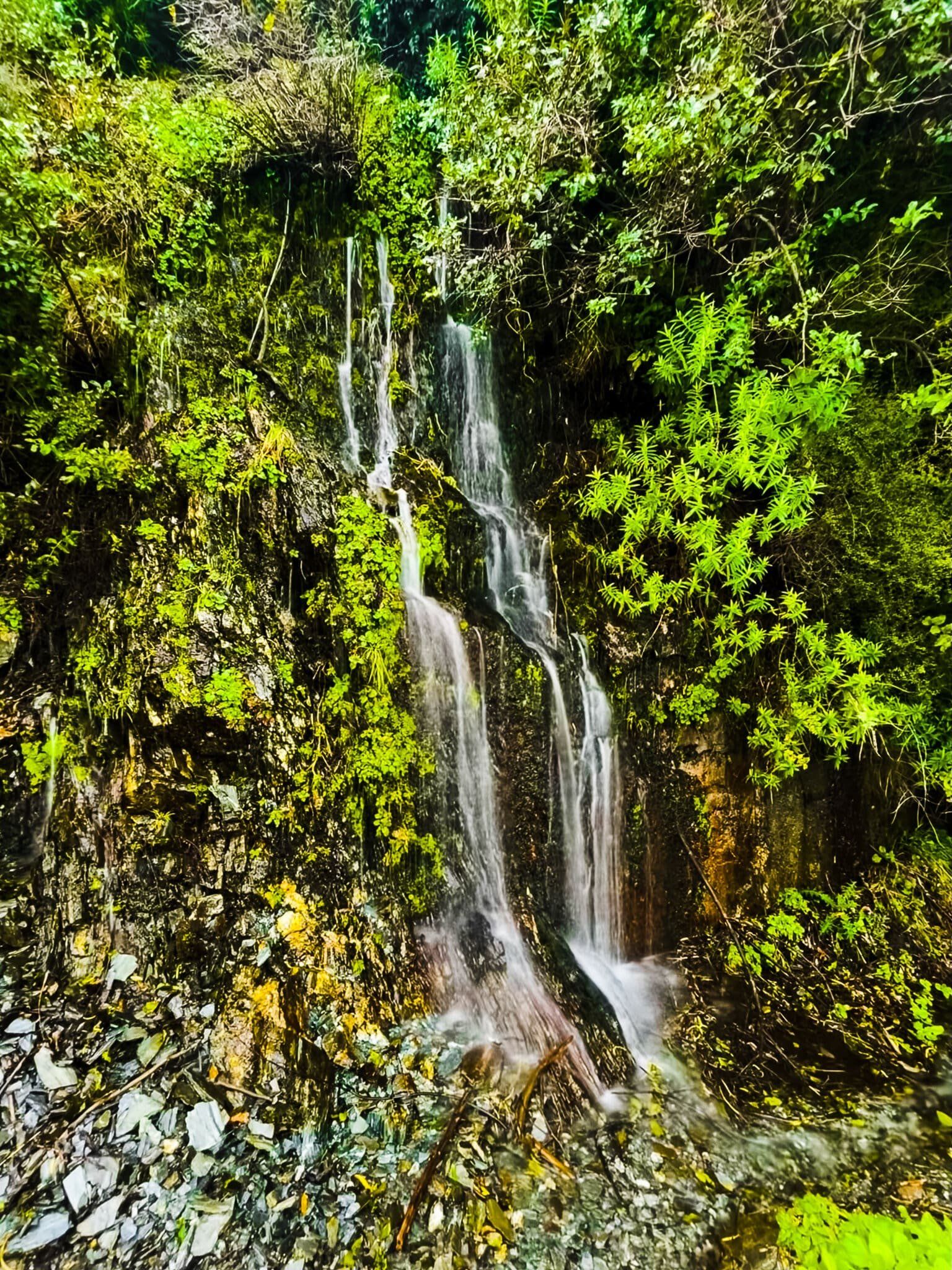 Image 4 of 9