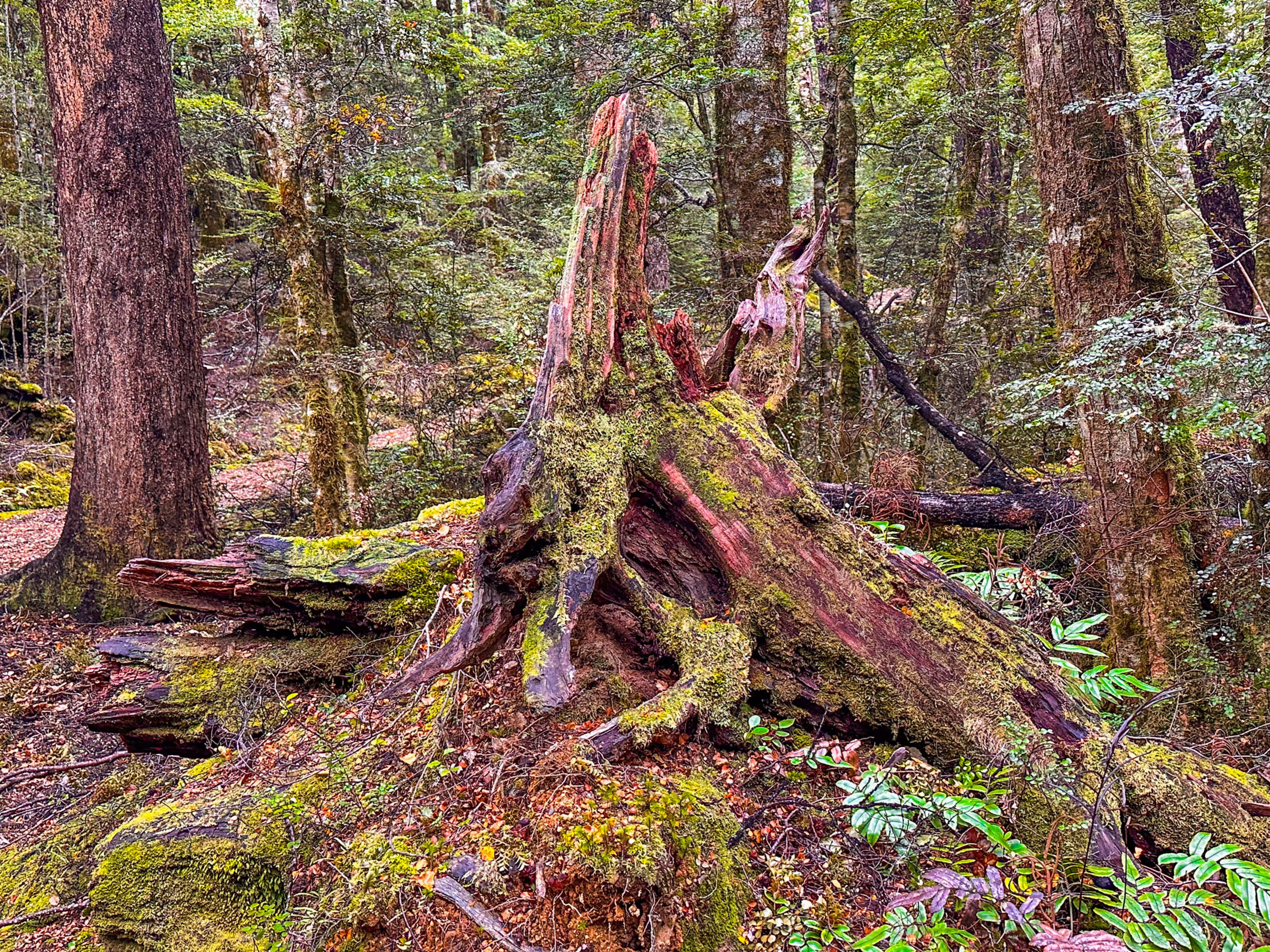 Image 9 of 10