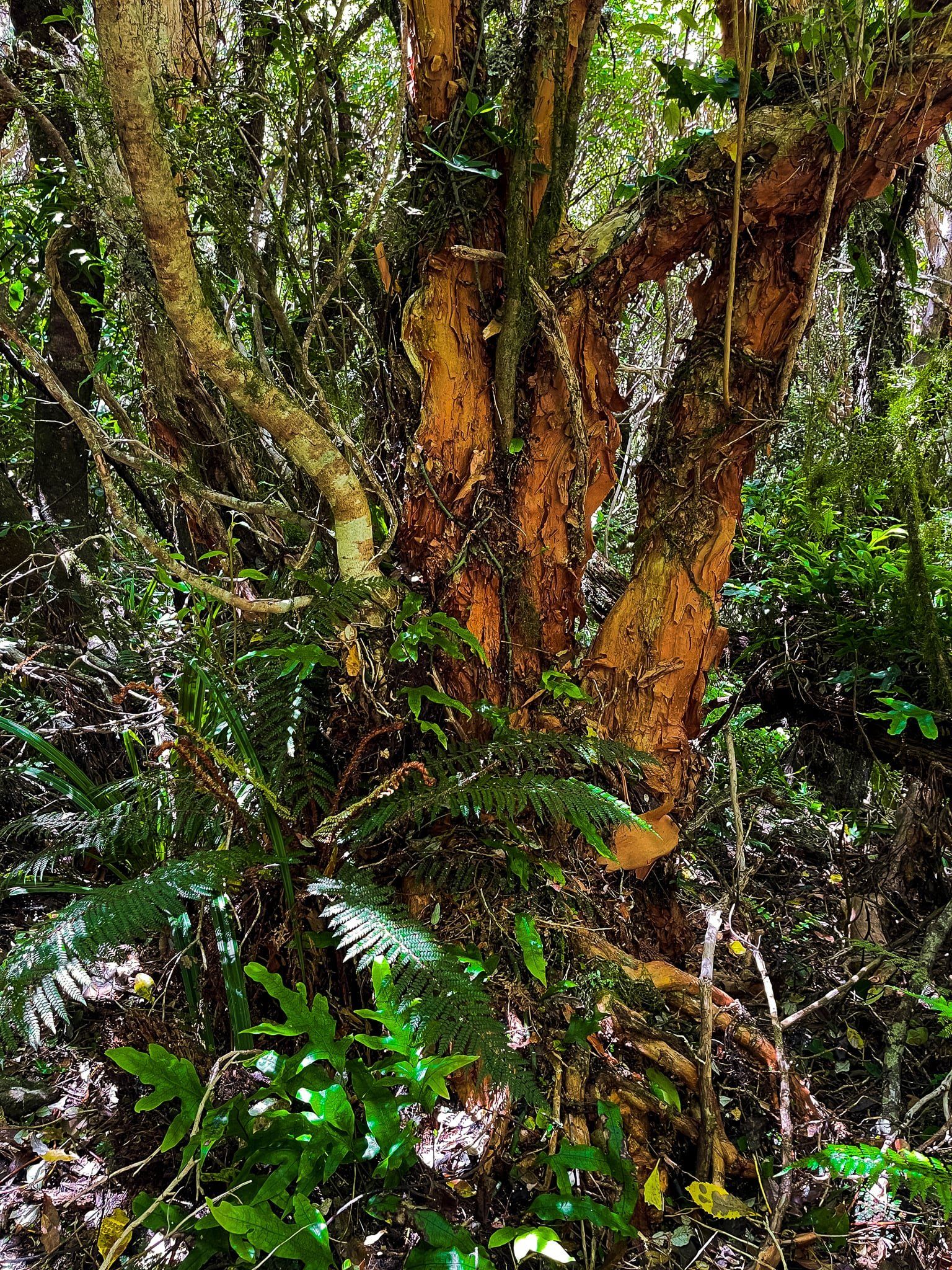 Image 4 of 11
