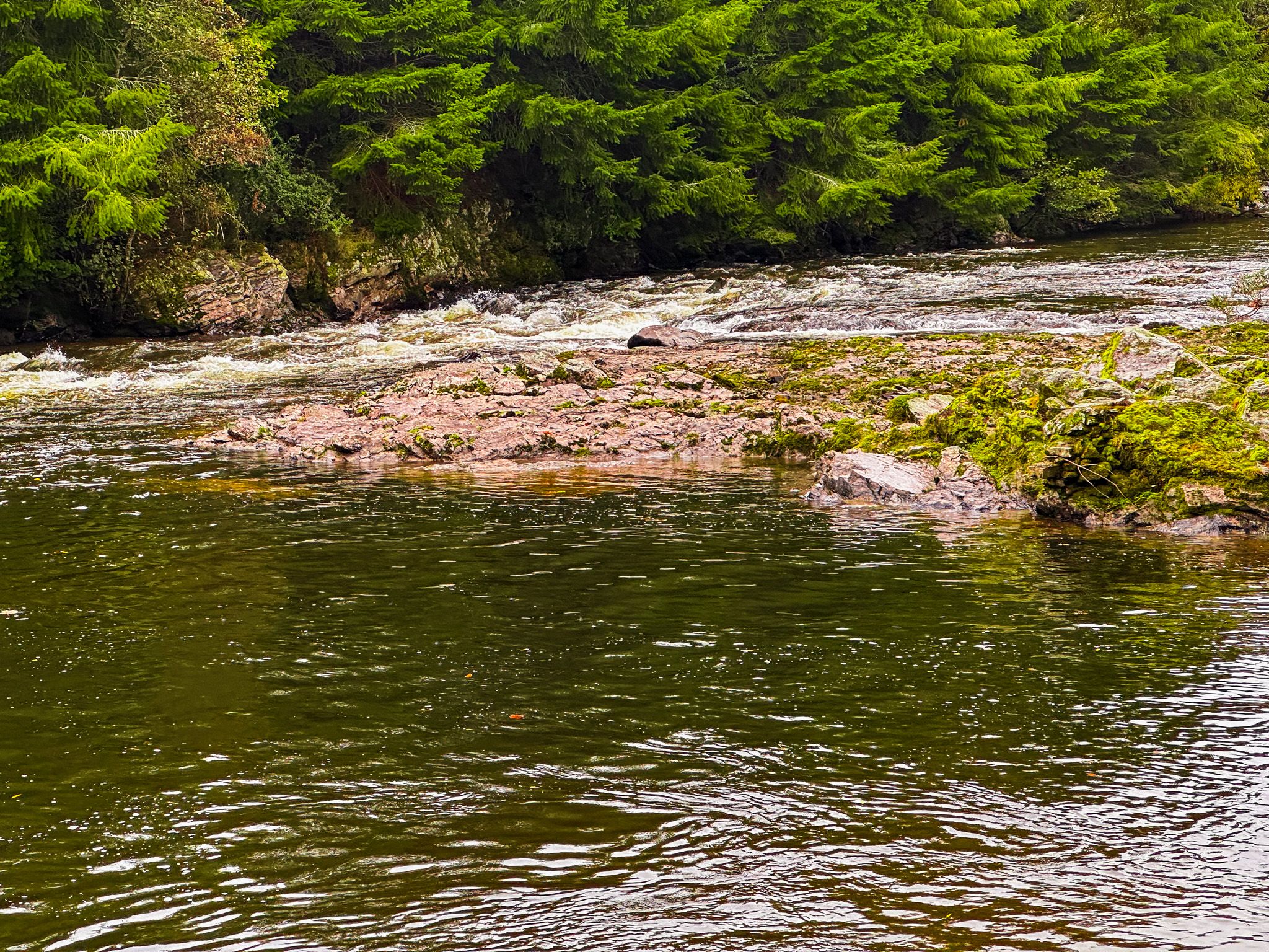 Image 4 of 10