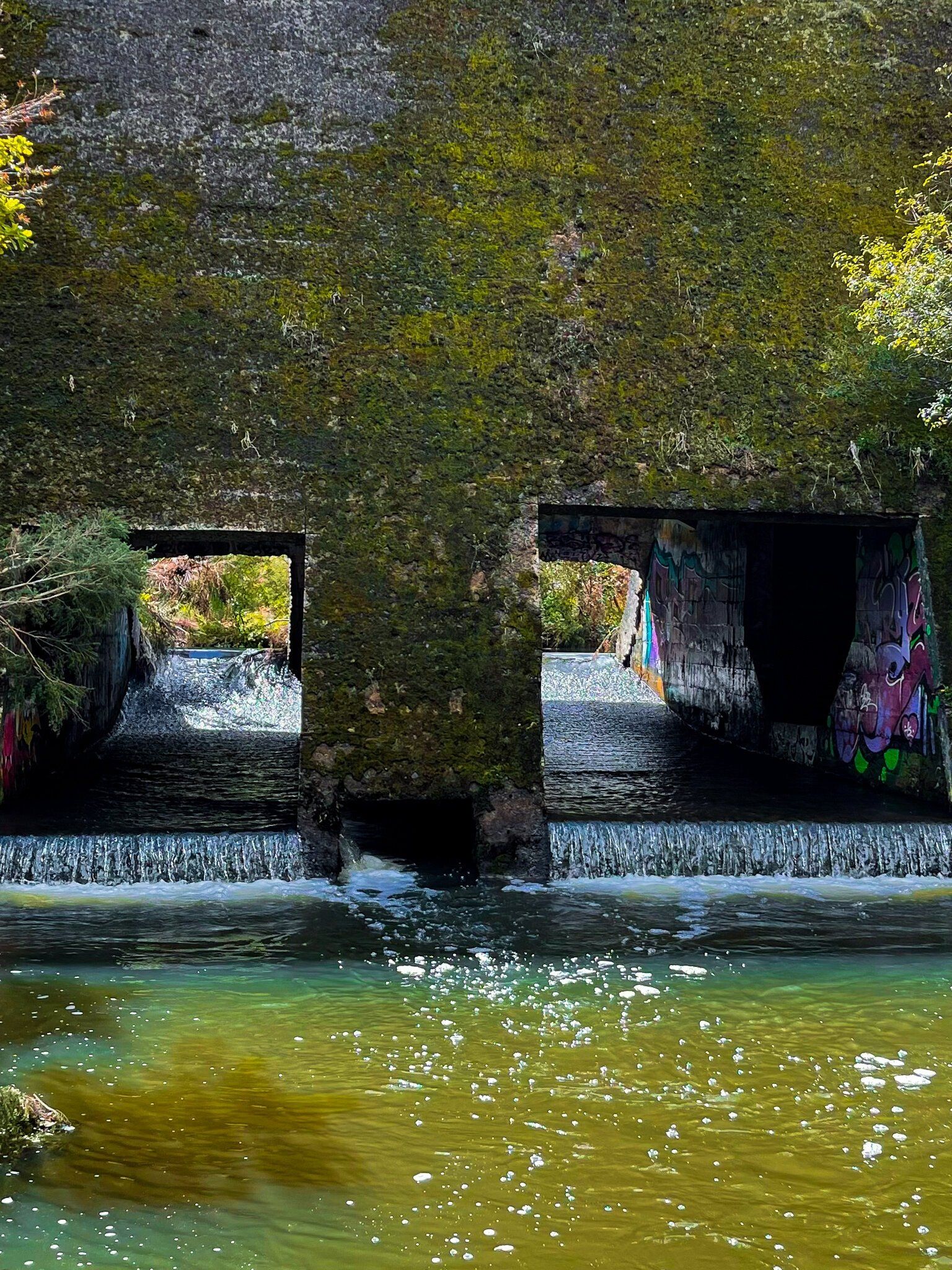 Image 7 of 9