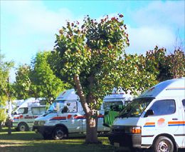 A1 Kaikoura Motels & Holiday Park
