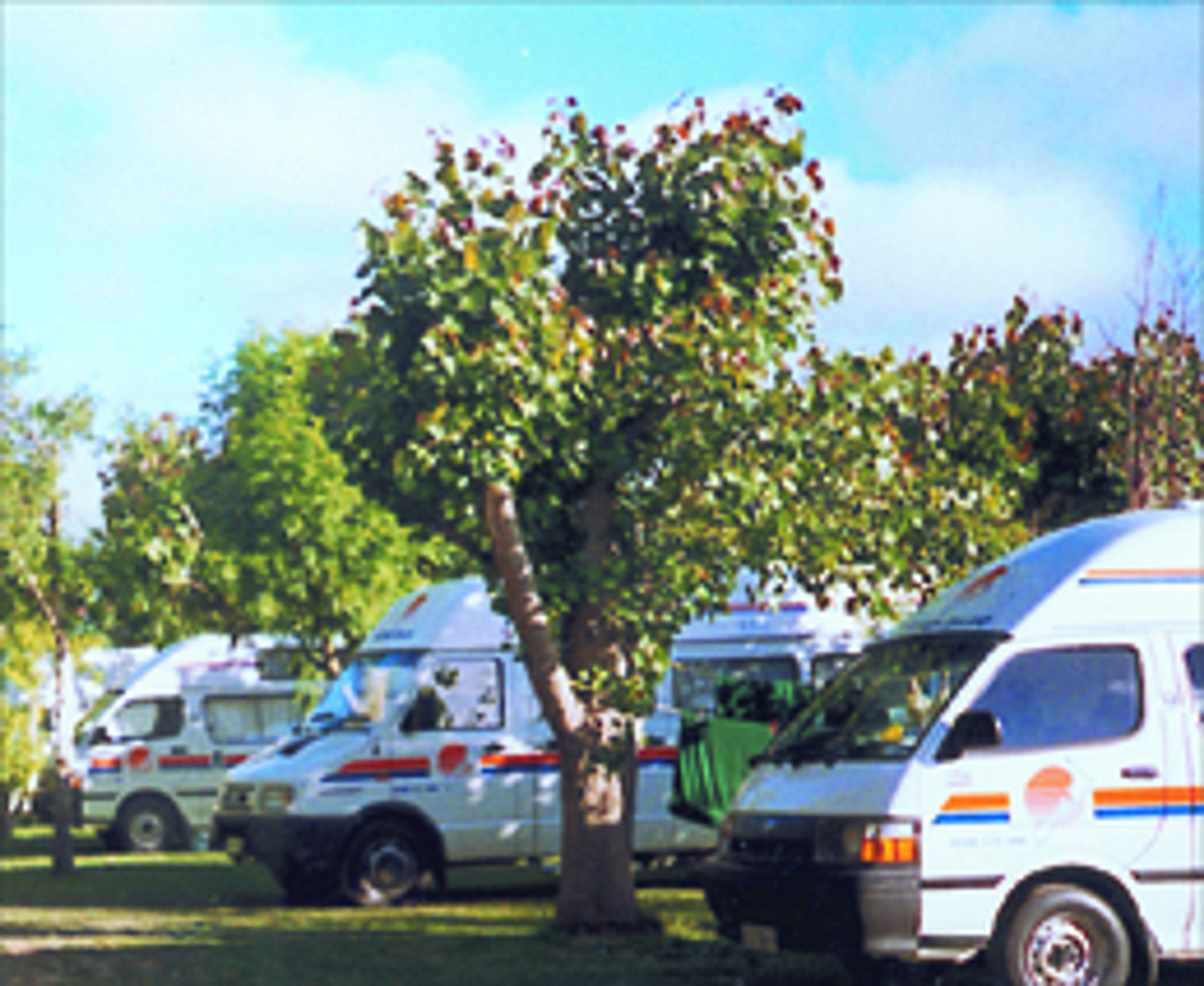 A1 Kaikoura Motels & Holiday Park