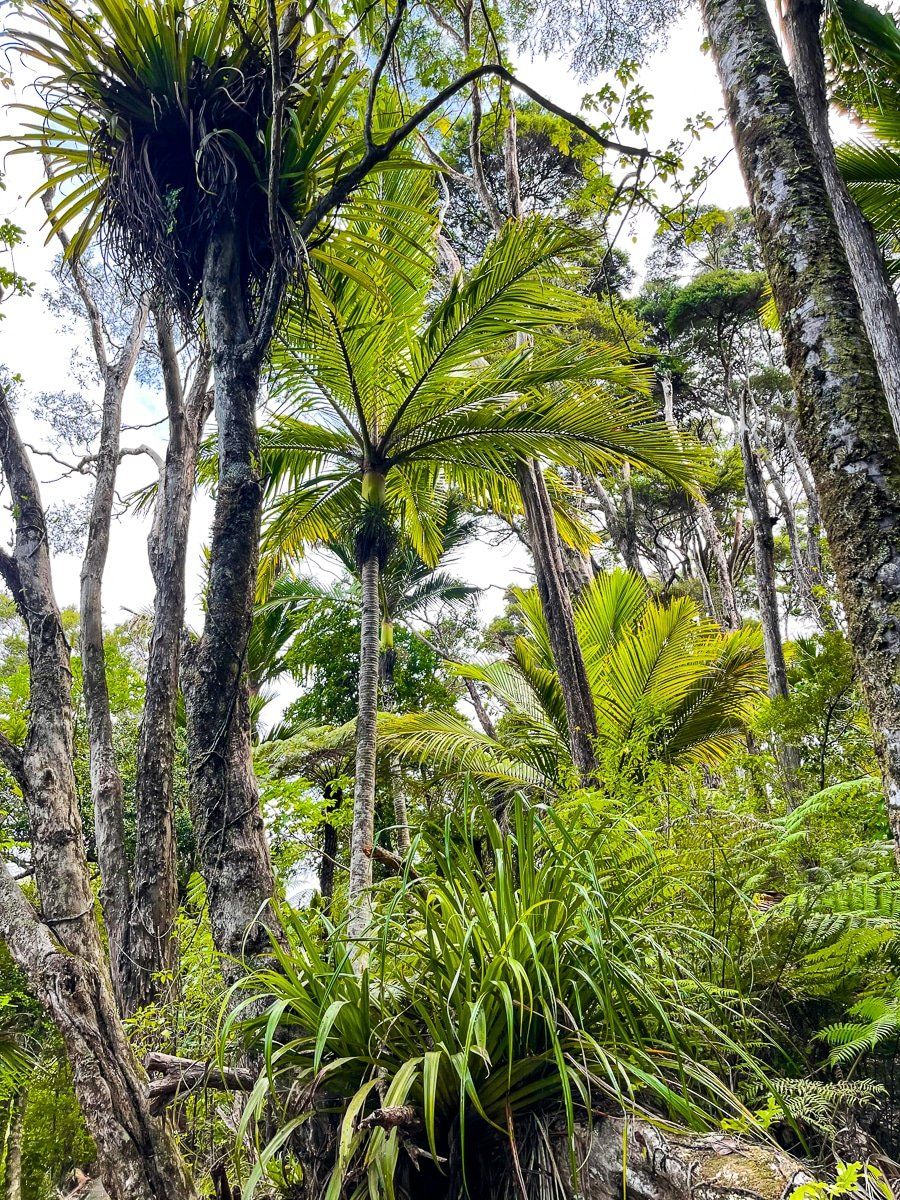 Image 4 of 8