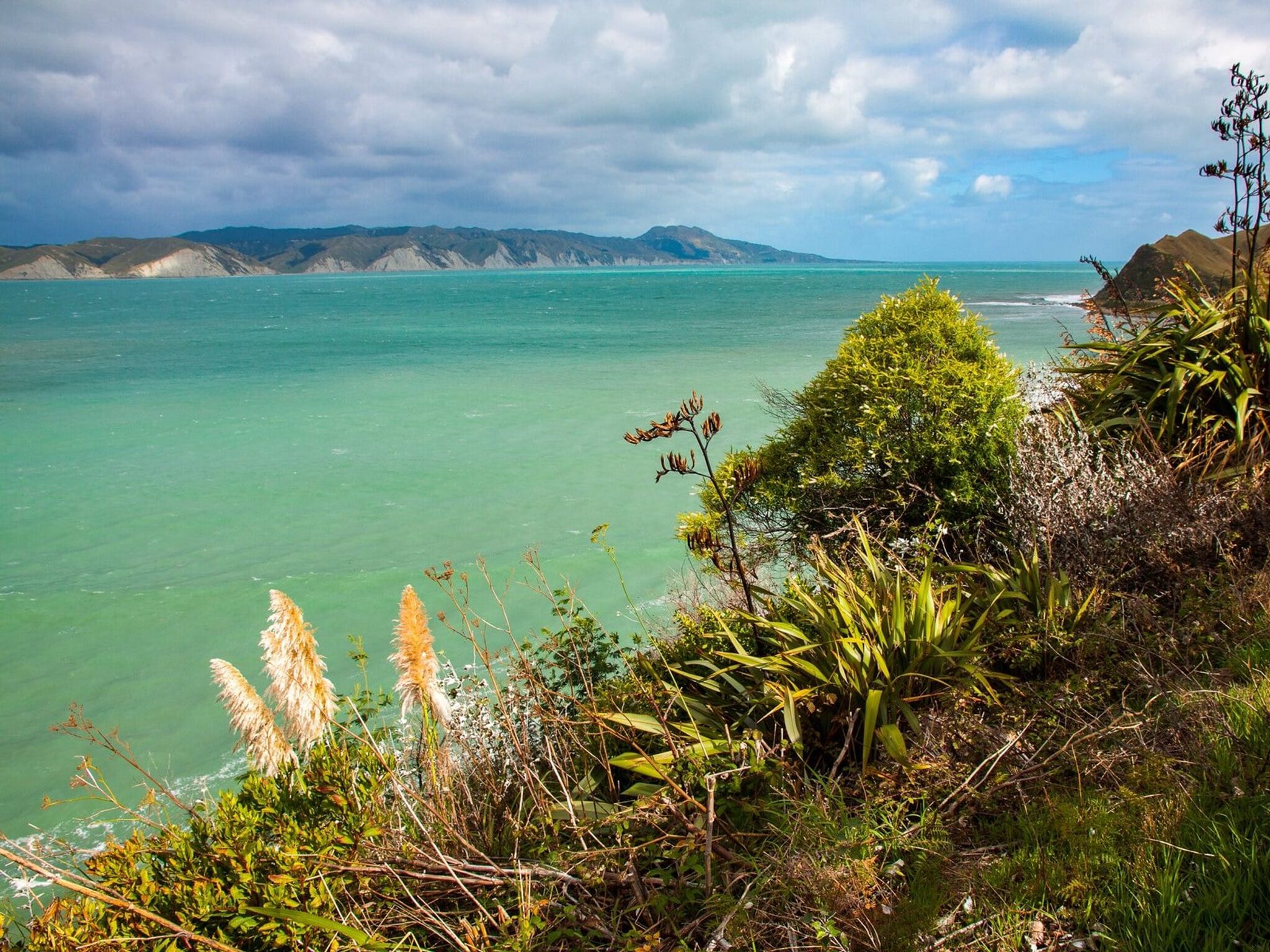 Mahia Peninsula | Napier-Hastings - New Zealand Trip Ideas