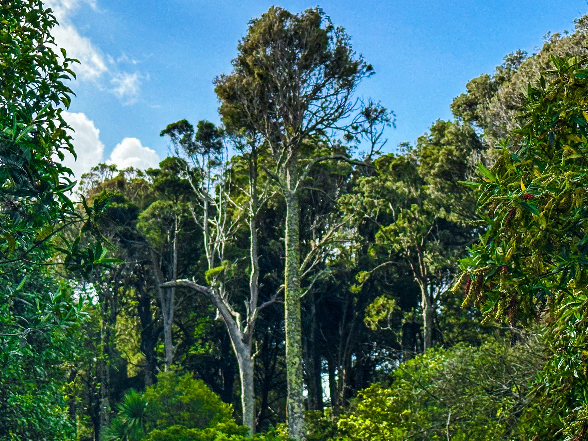 Image 7 of 10