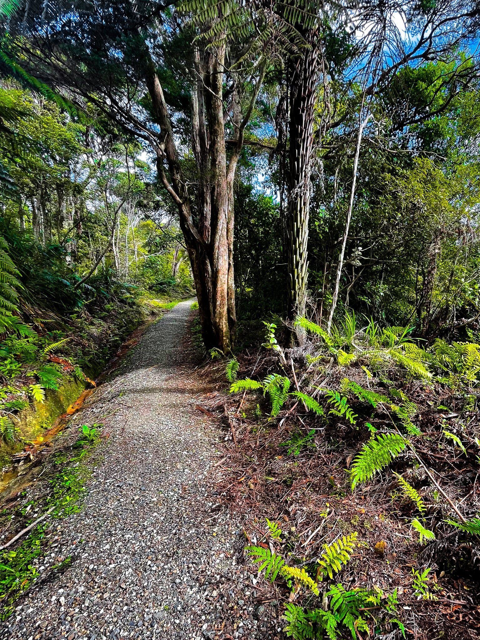 Image 7 of 12