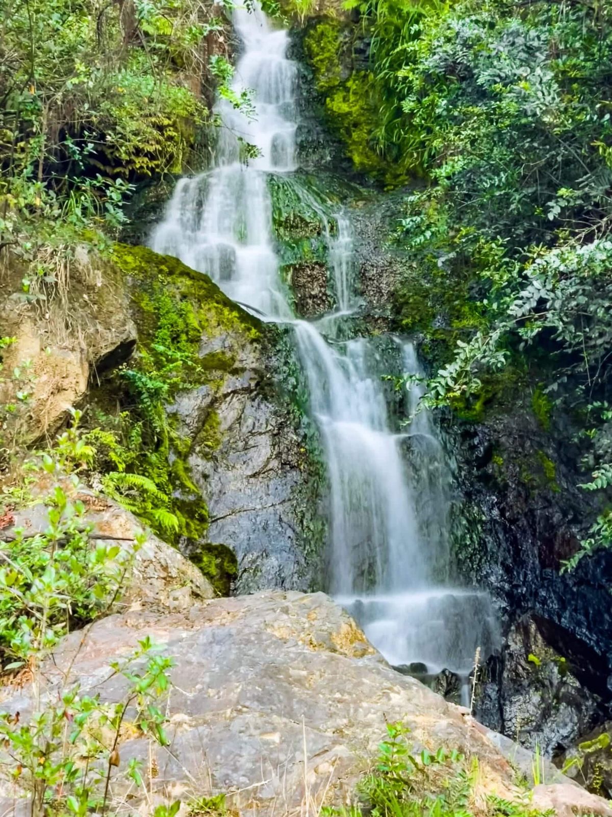 Hunua Ranges | South Auckland - New Zealand Trip Ideas