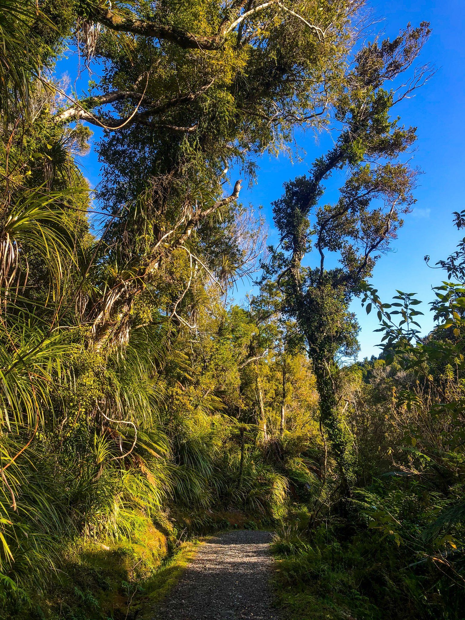 Image 7 of 9