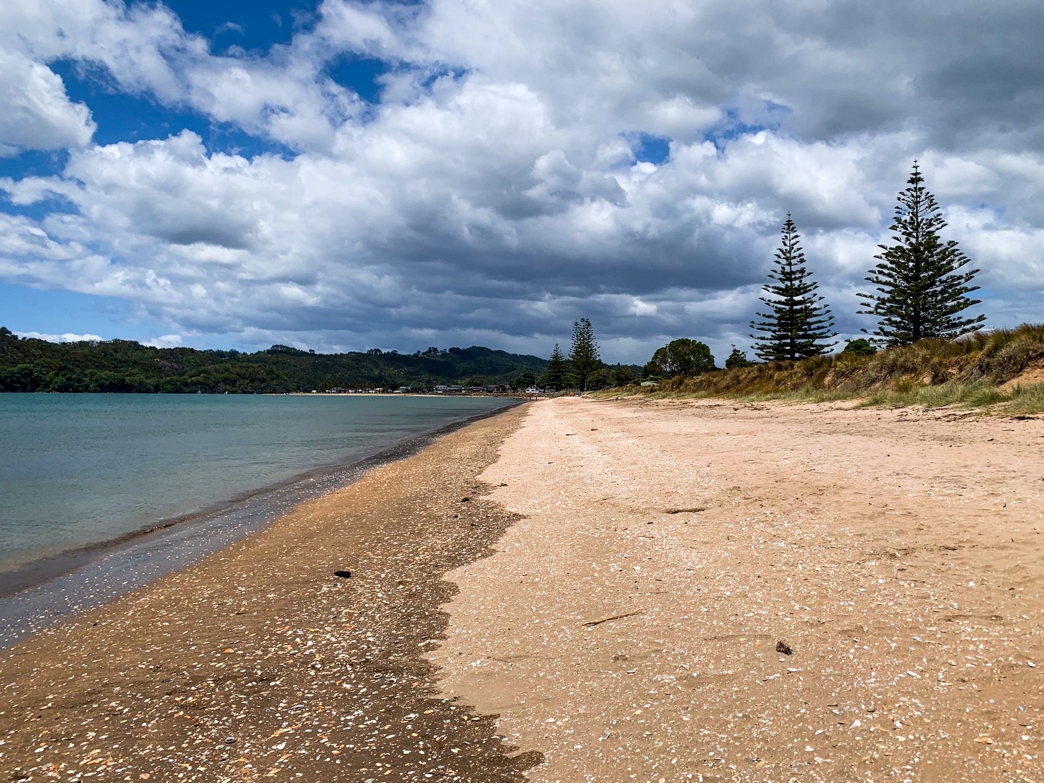 Image 6 of 10