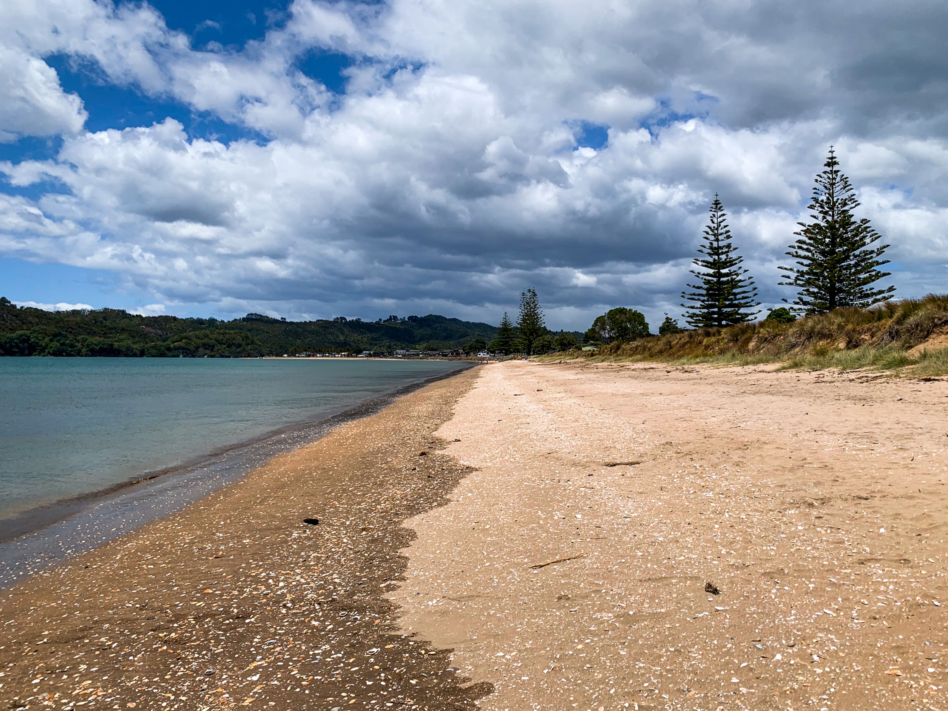 Image 6 of 10