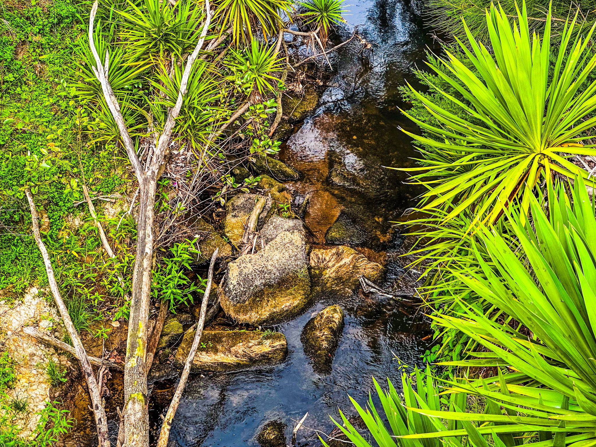 Image 6 of 10